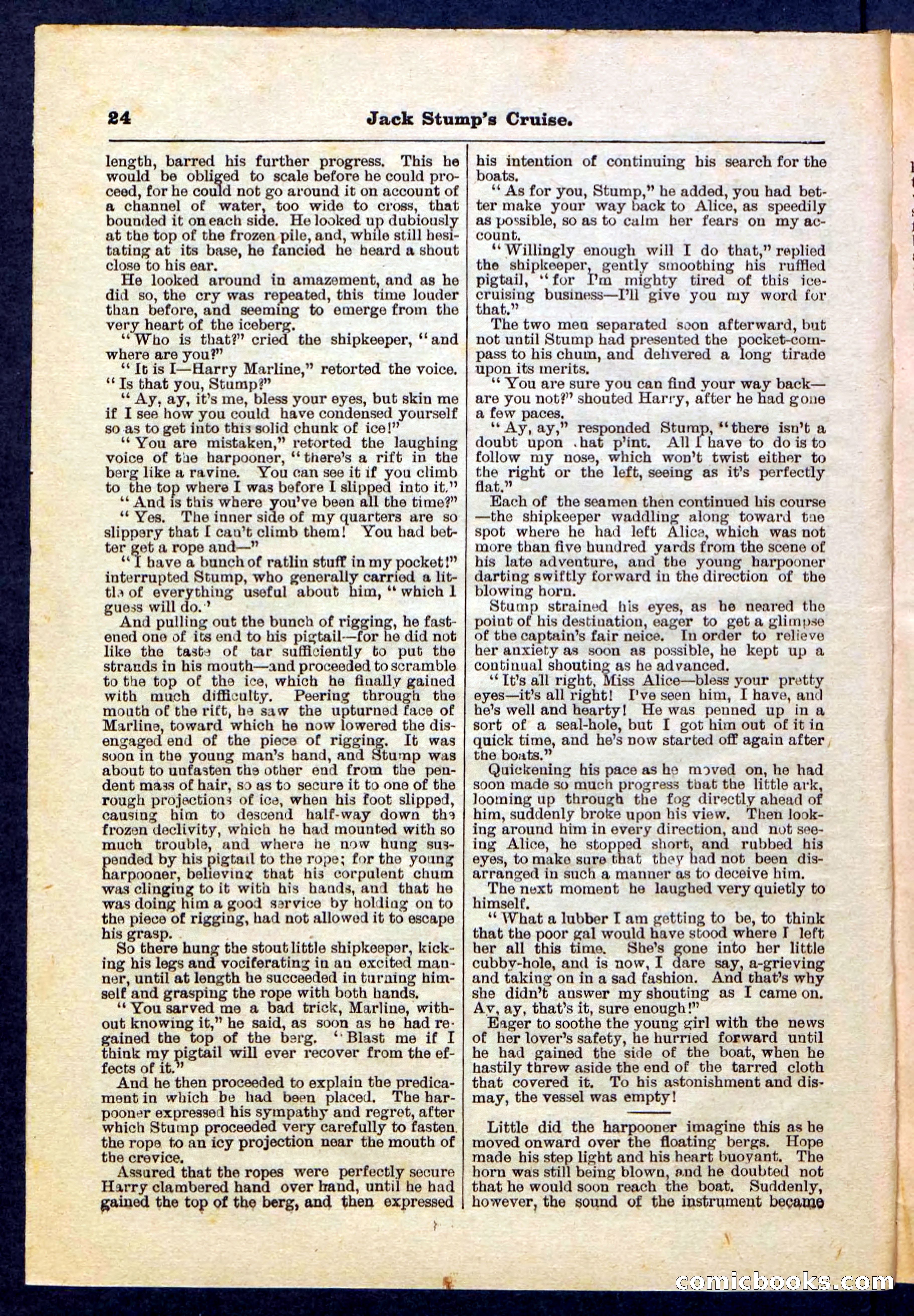 Beadle's Pocket Library No. 235 — page 24 of 32