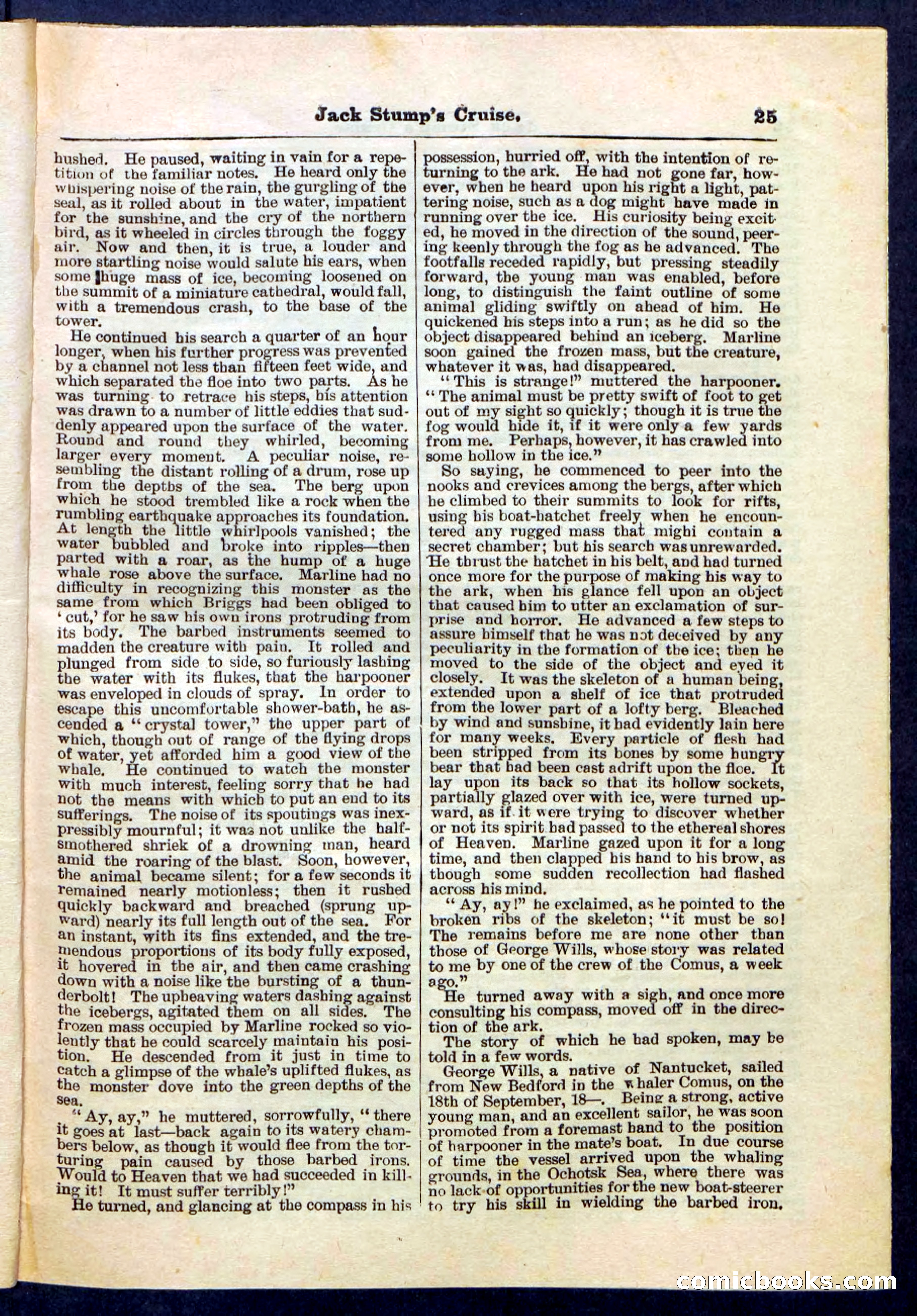 Beadle's Pocket Library No. 235 — page 25 of 32