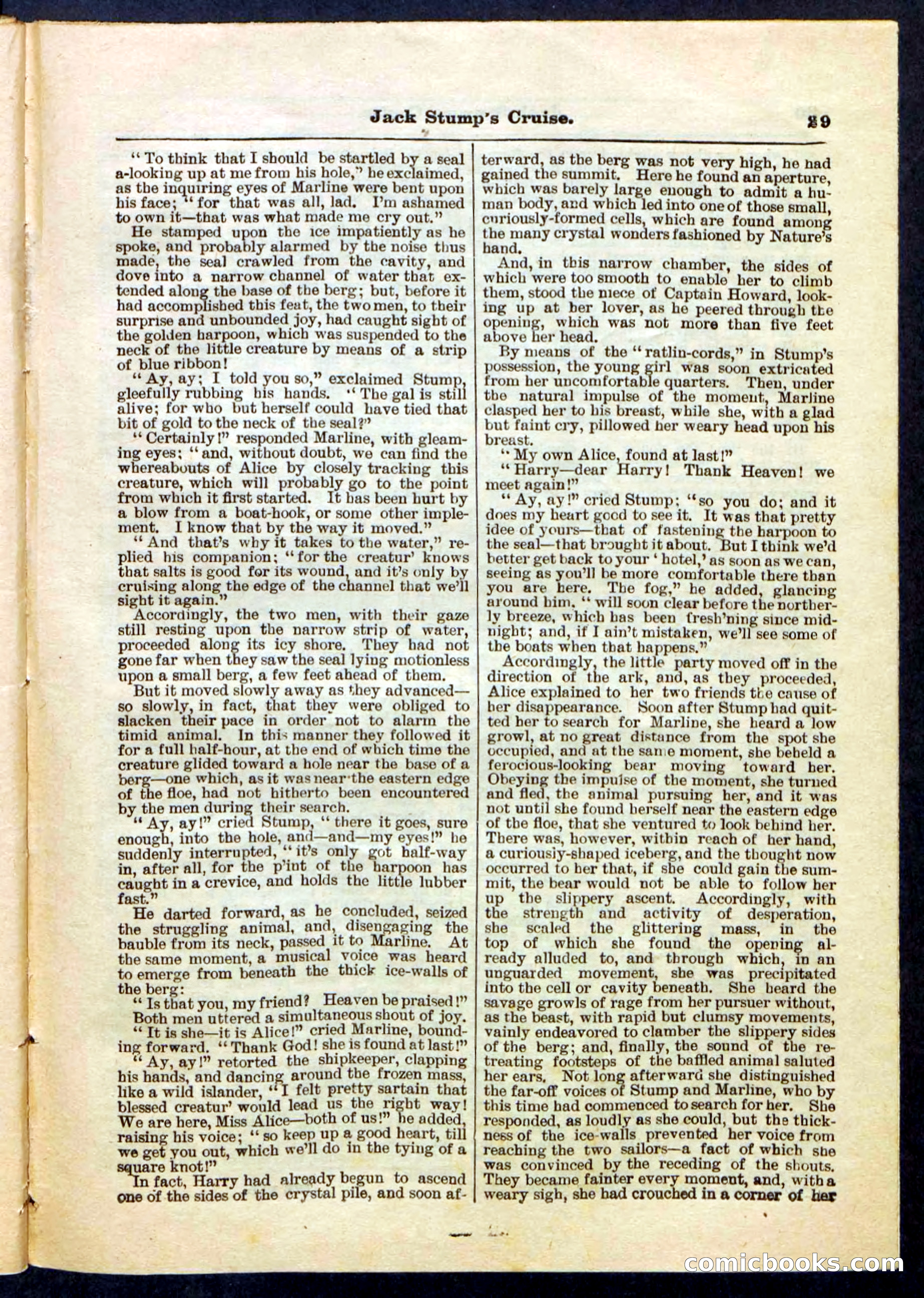 Beadle's Pocket Library No. 235 — page 29 of 32