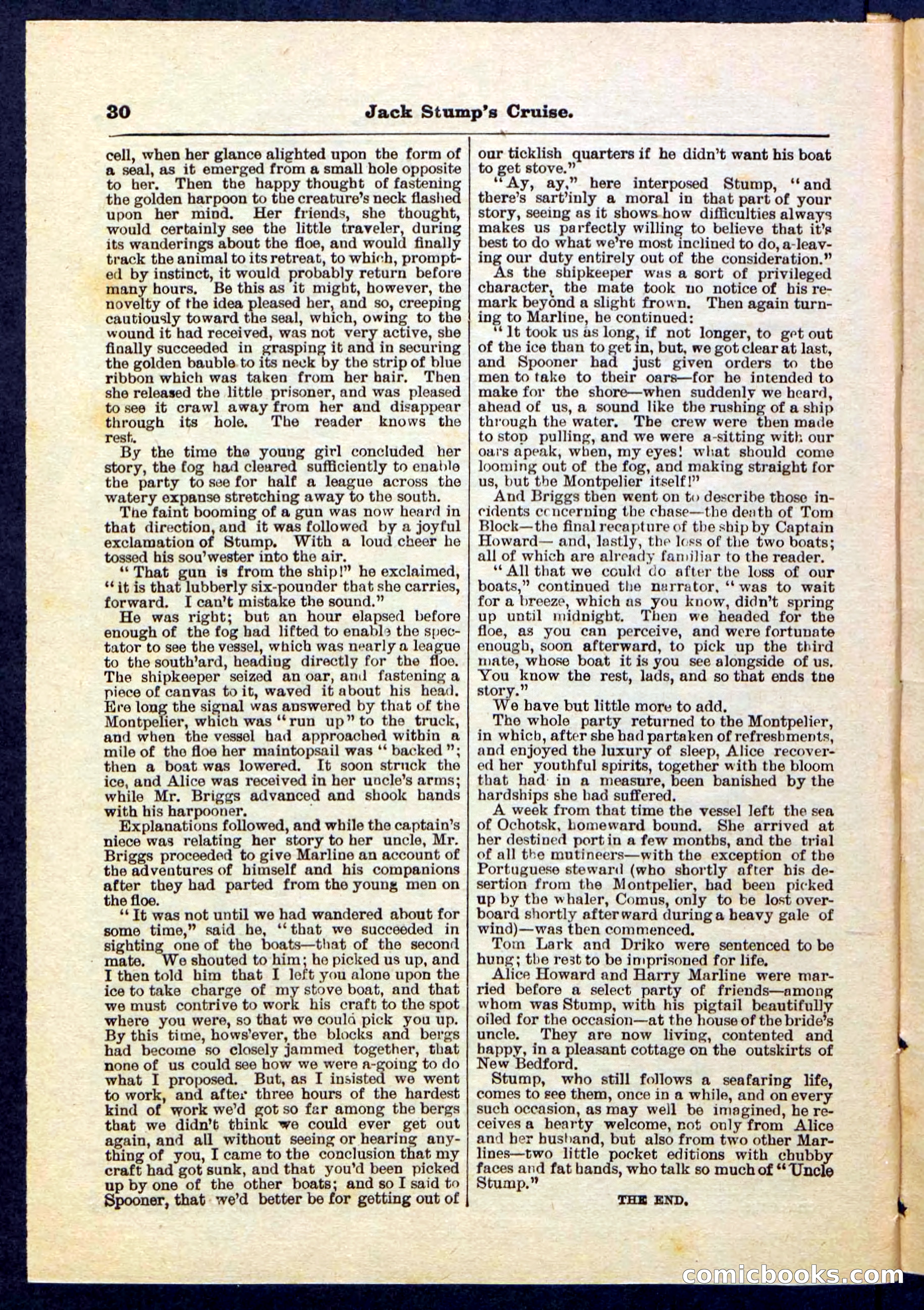 Beadle's Pocket Library No. 235 — page 30 of 32