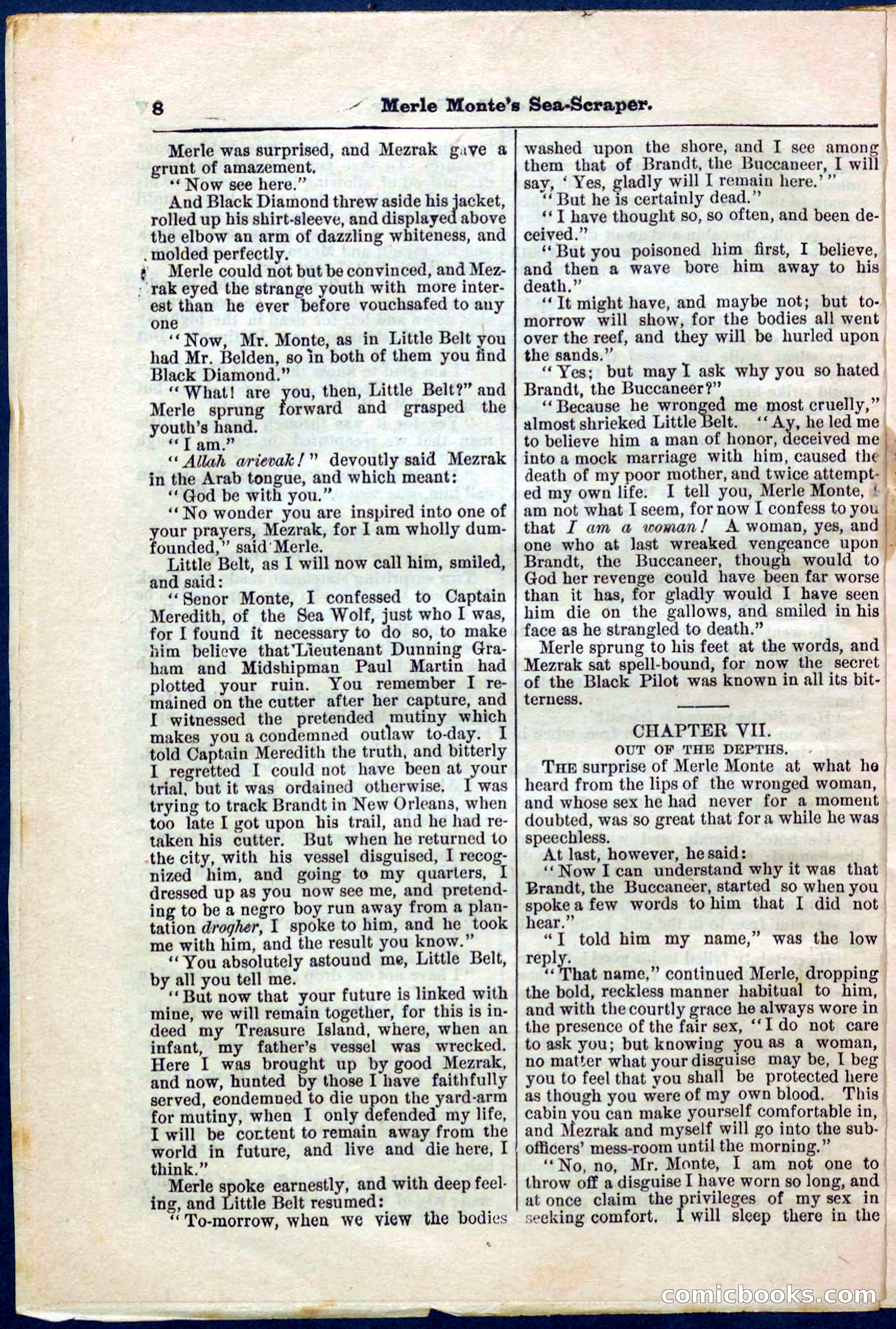 Beadle's Pocket Library No. 238 — page 8 of 32