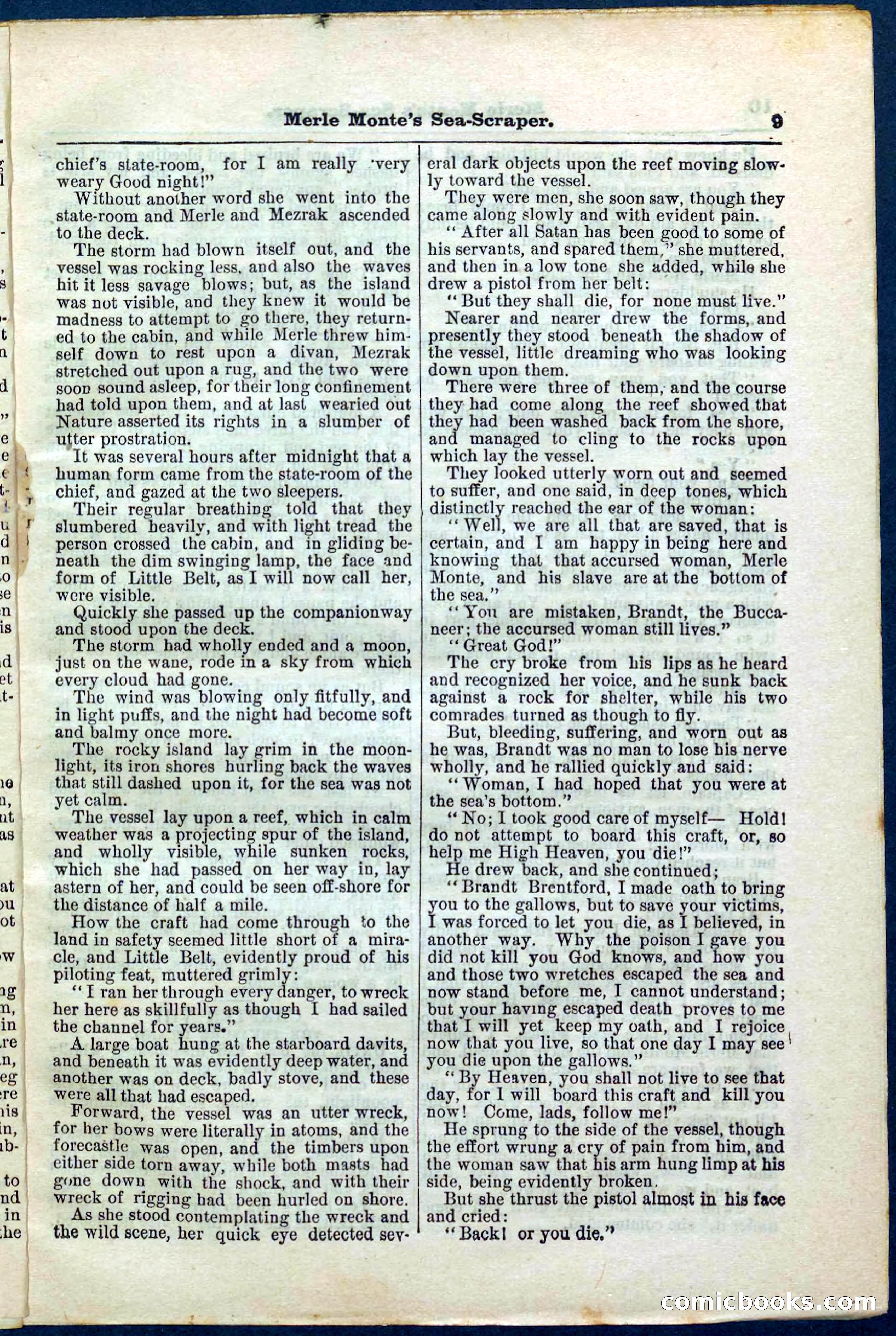 Beadle's Pocket Library No. 238 — page 9 of 32