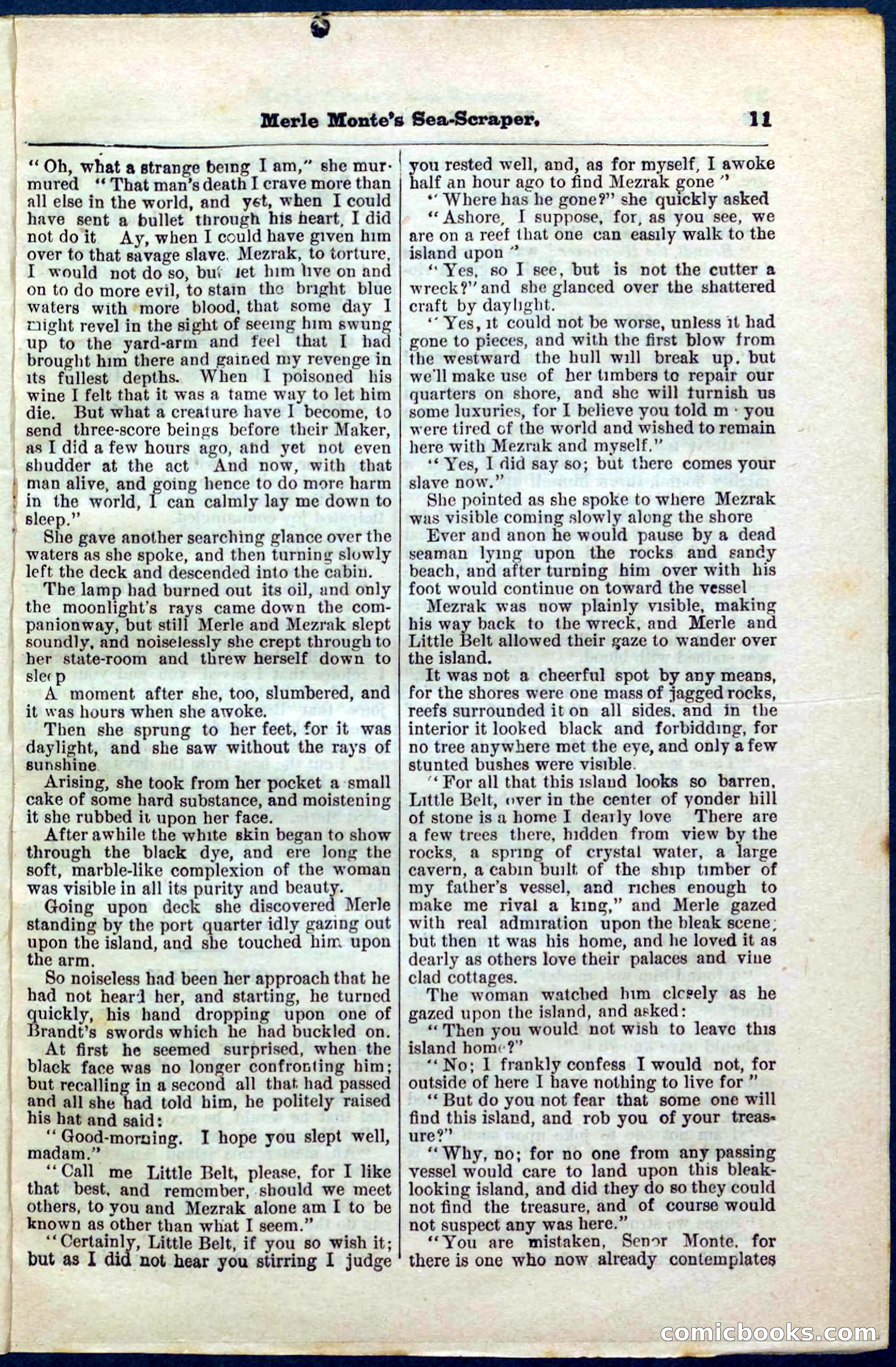 Beadle's Pocket Library No. 238 — page 11 of 32