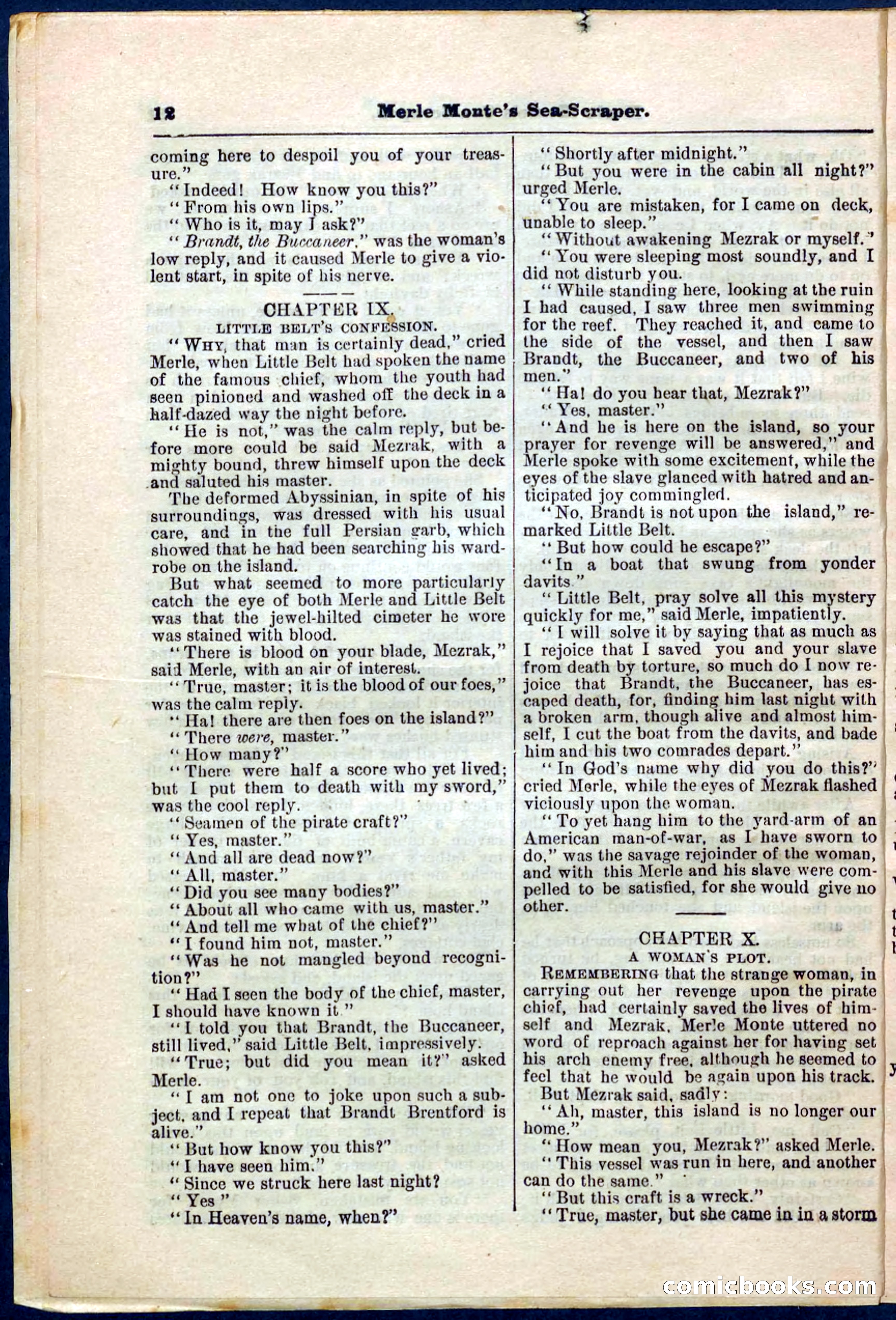 Beadle's Pocket Library No. 238 — page 12 of 32