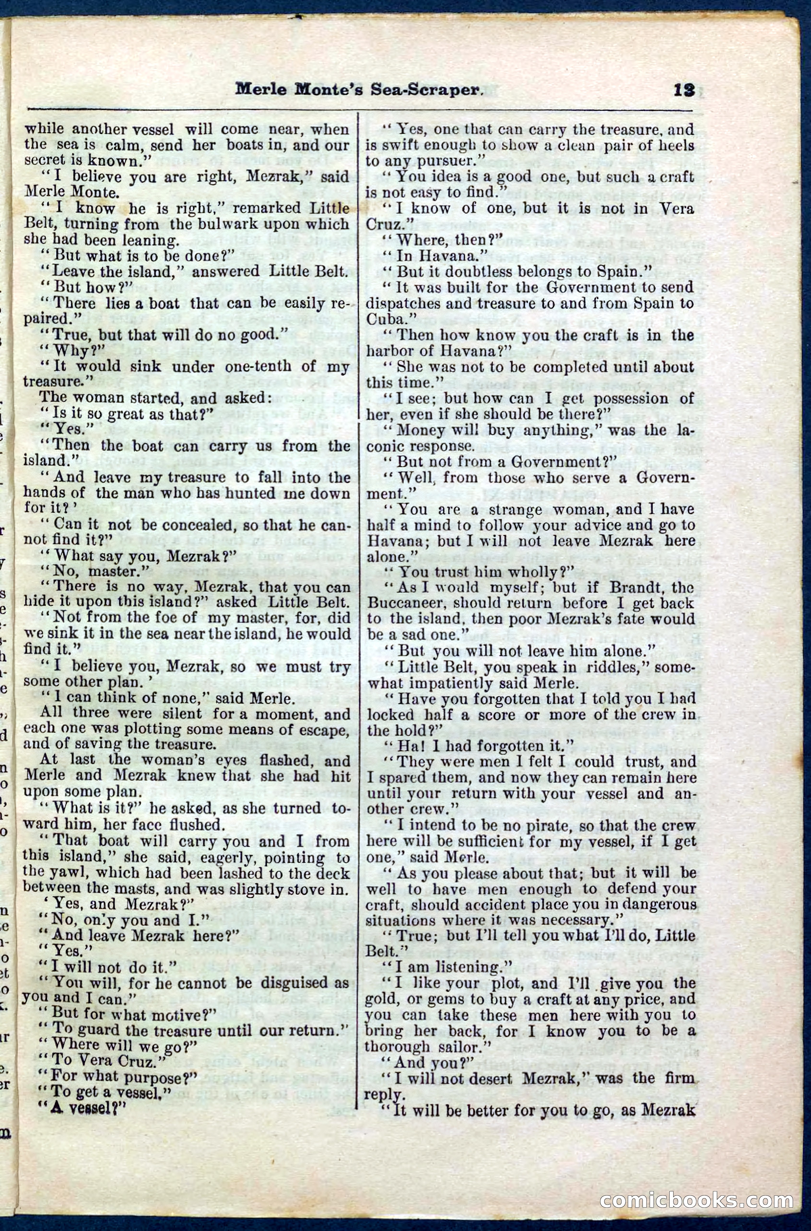 Beadle's Pocket Library No. 238 — page 13 of 32