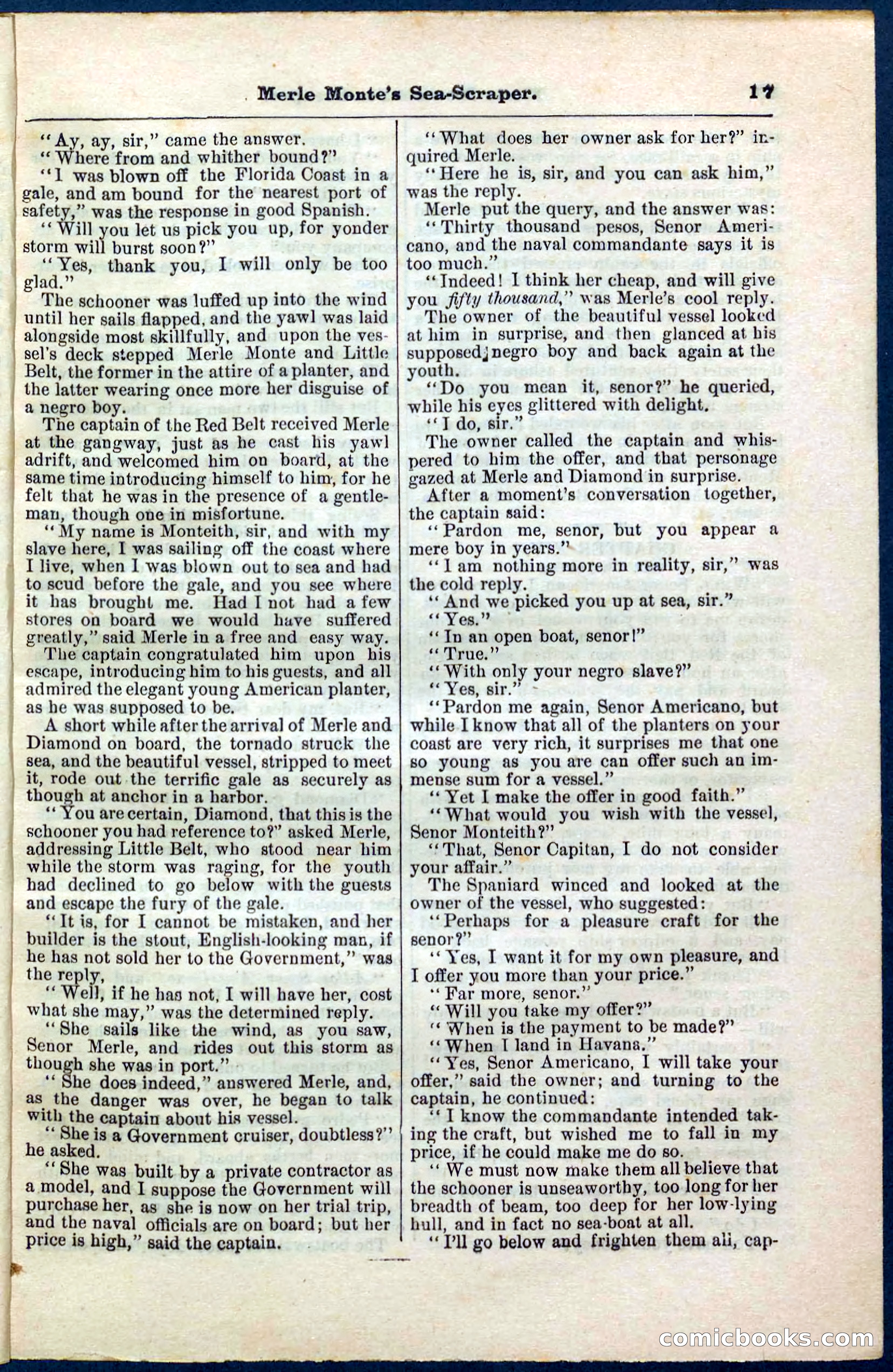 Beadle's Pocket Library No. 238 — page 17 of 32
