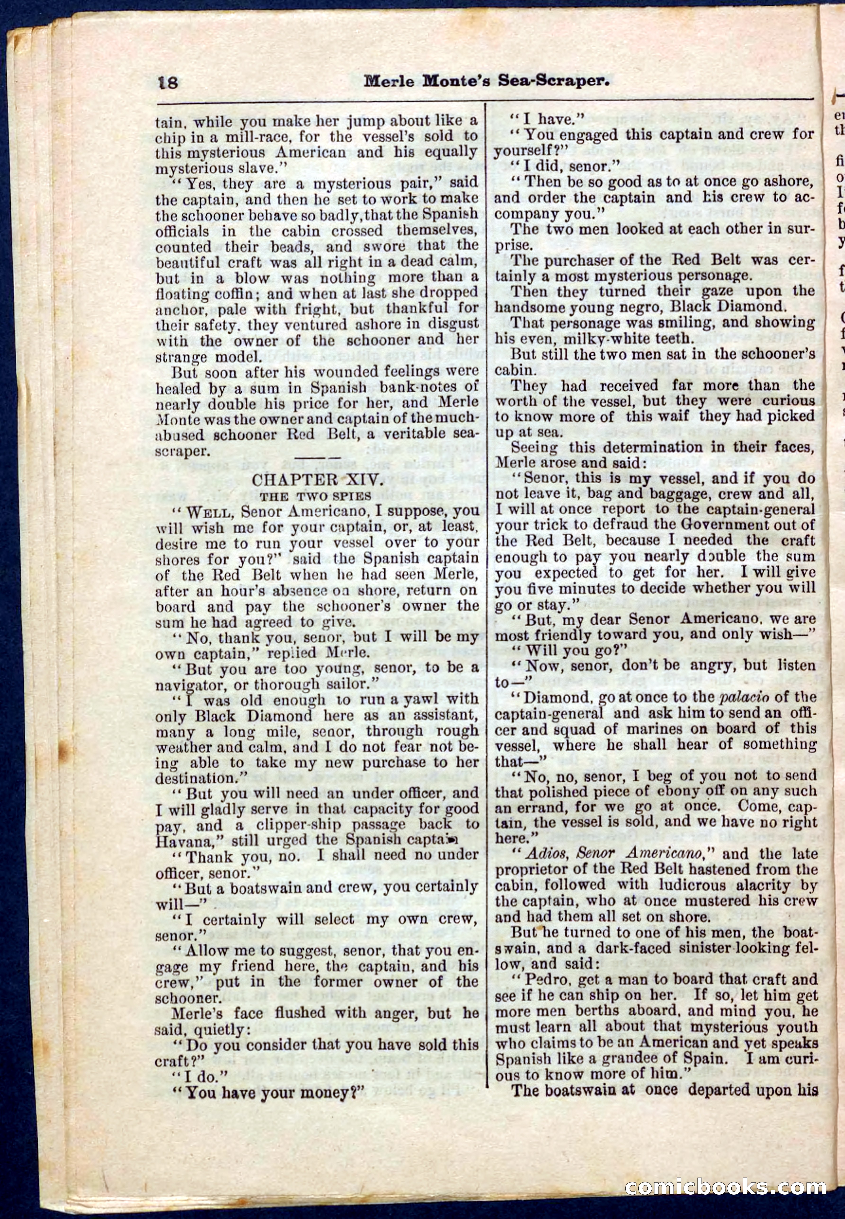 Beadle's Pocket Library No. 238 — page 18 of 32