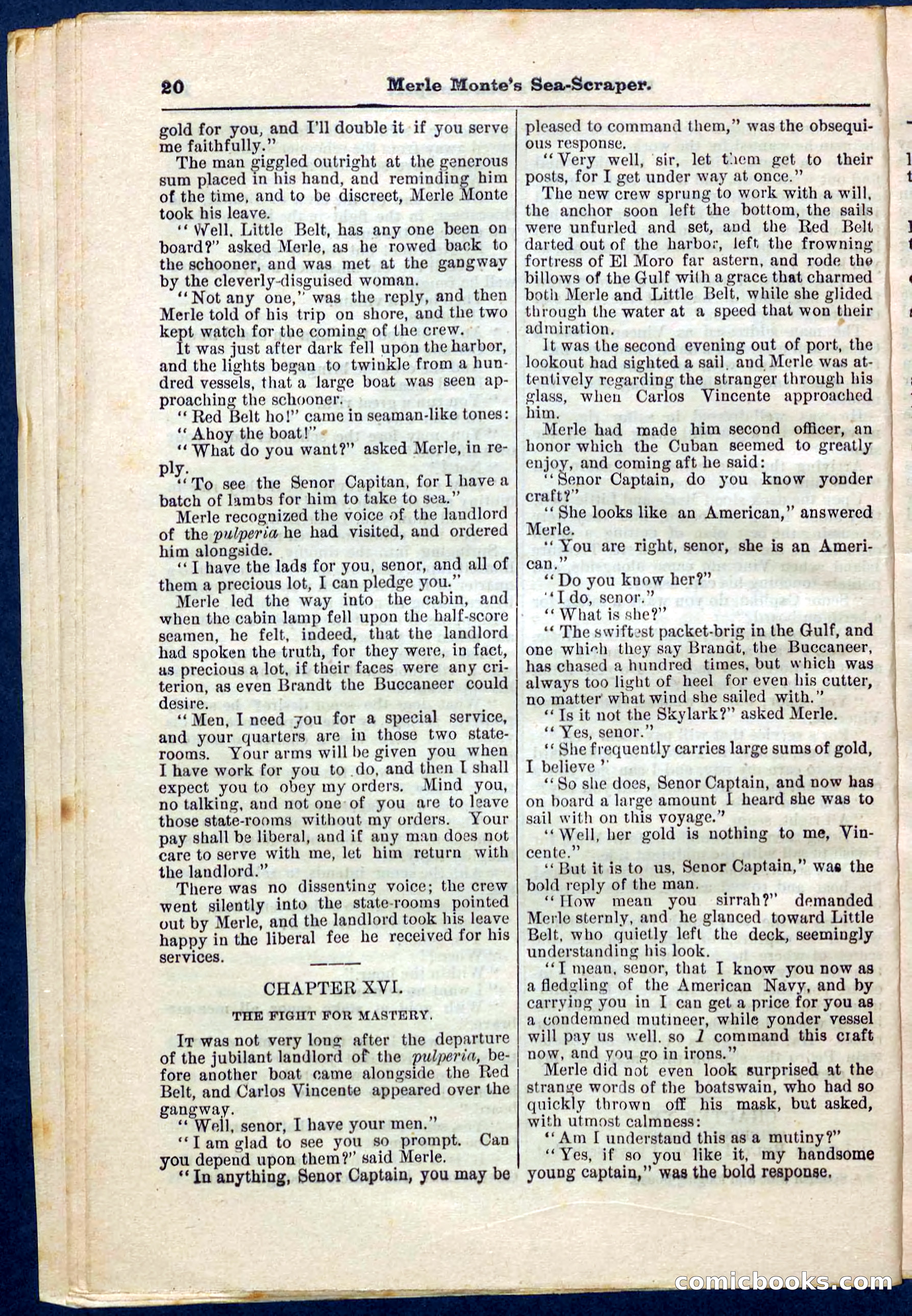 Beadle's Pocket Library No. 238 — page 20 of 32