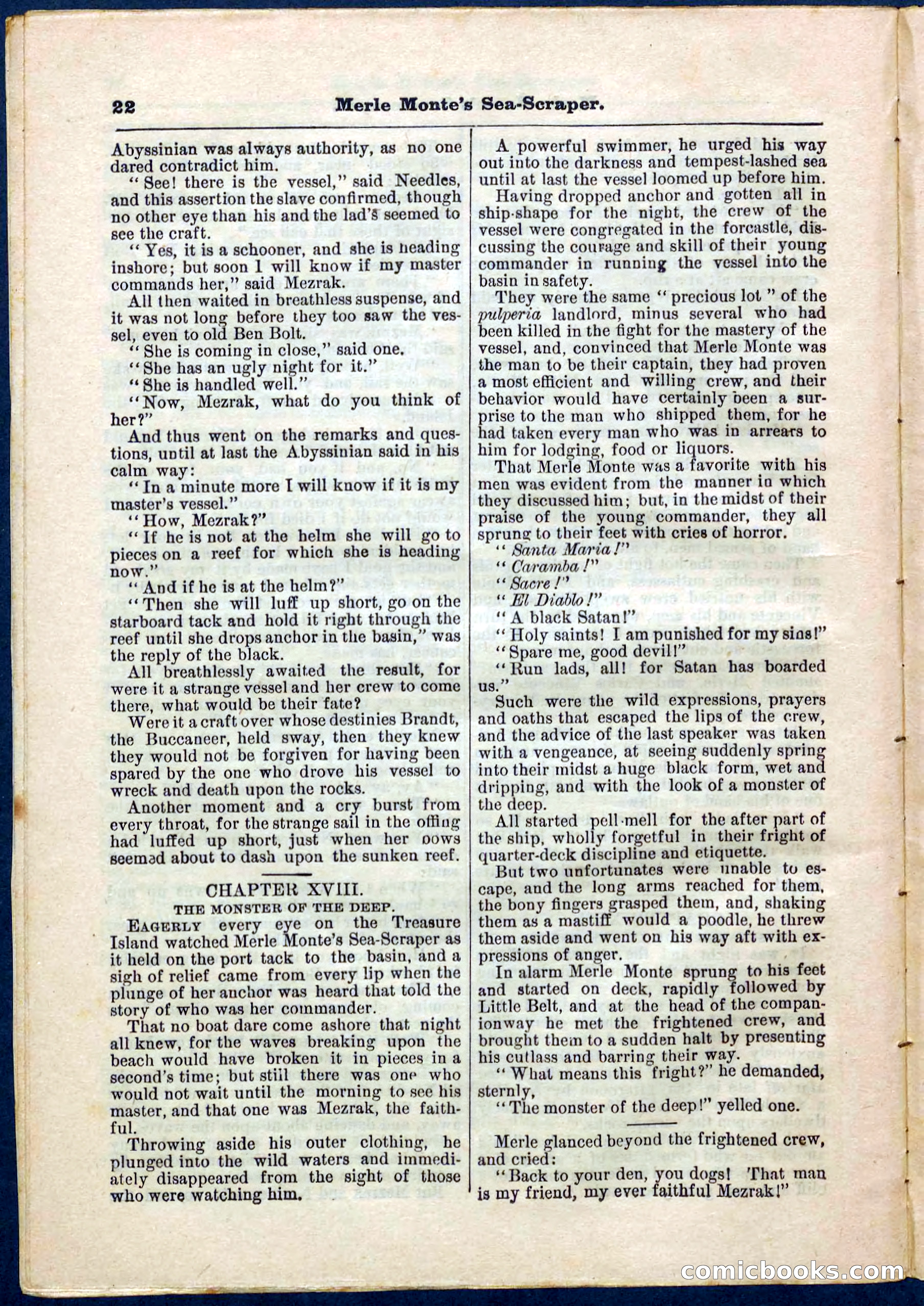 Beadle's Pocket Library No. 238 — page 22 of 32