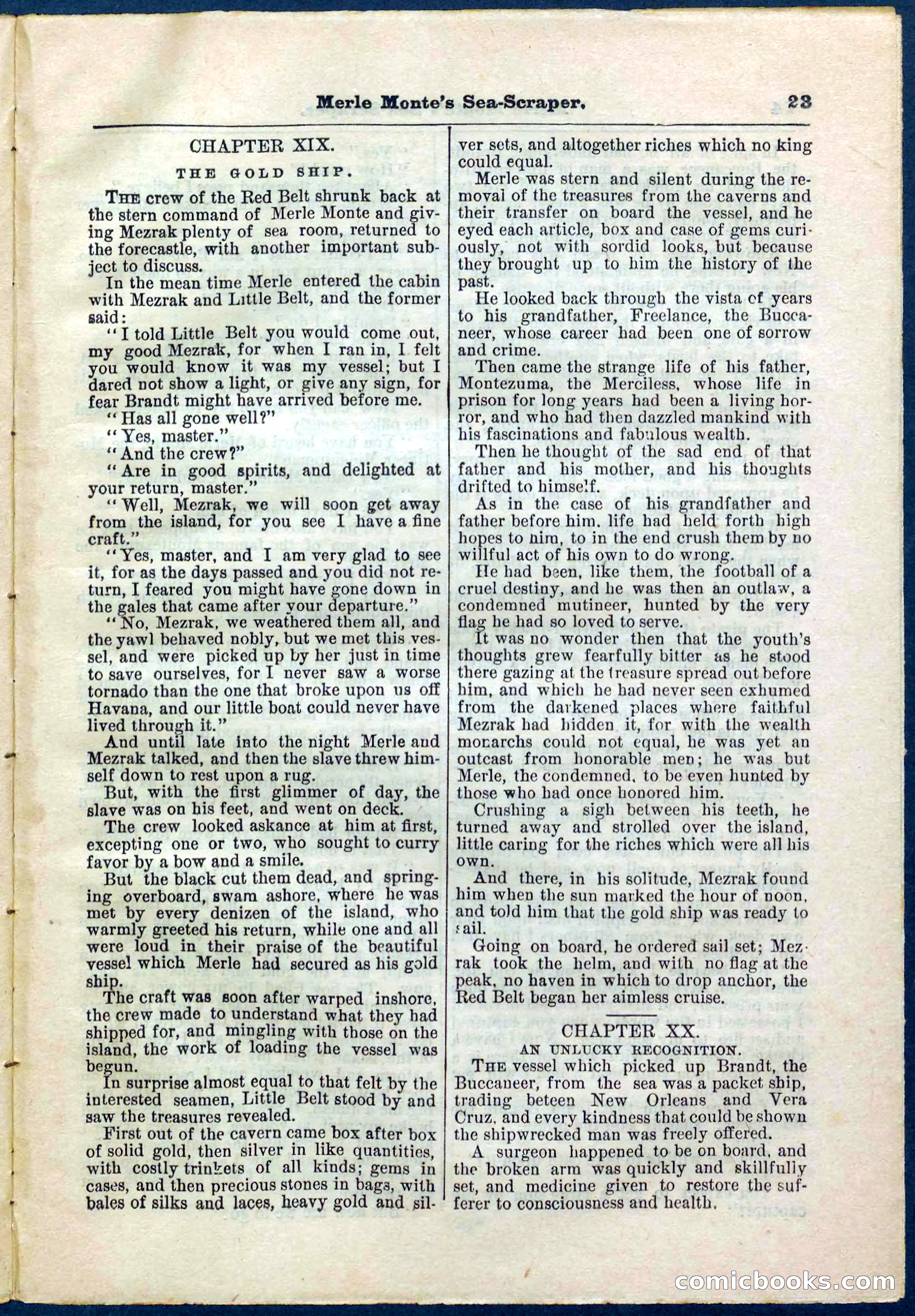 Beadle's Pocket Library No. 238 — page 23 of 32
