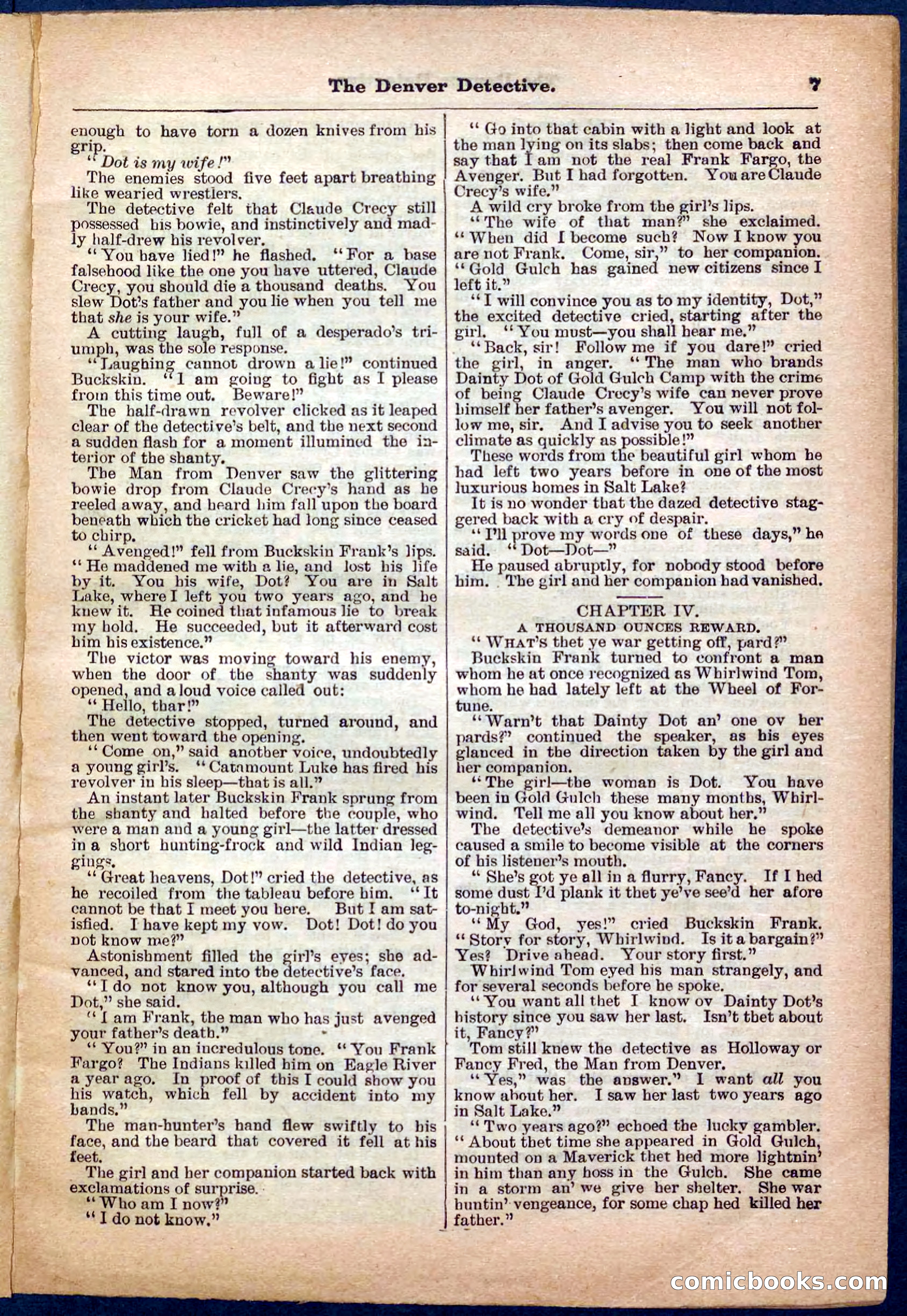Beadle's Pocket Library No. 242: The Denver Detective — page 7 of 32