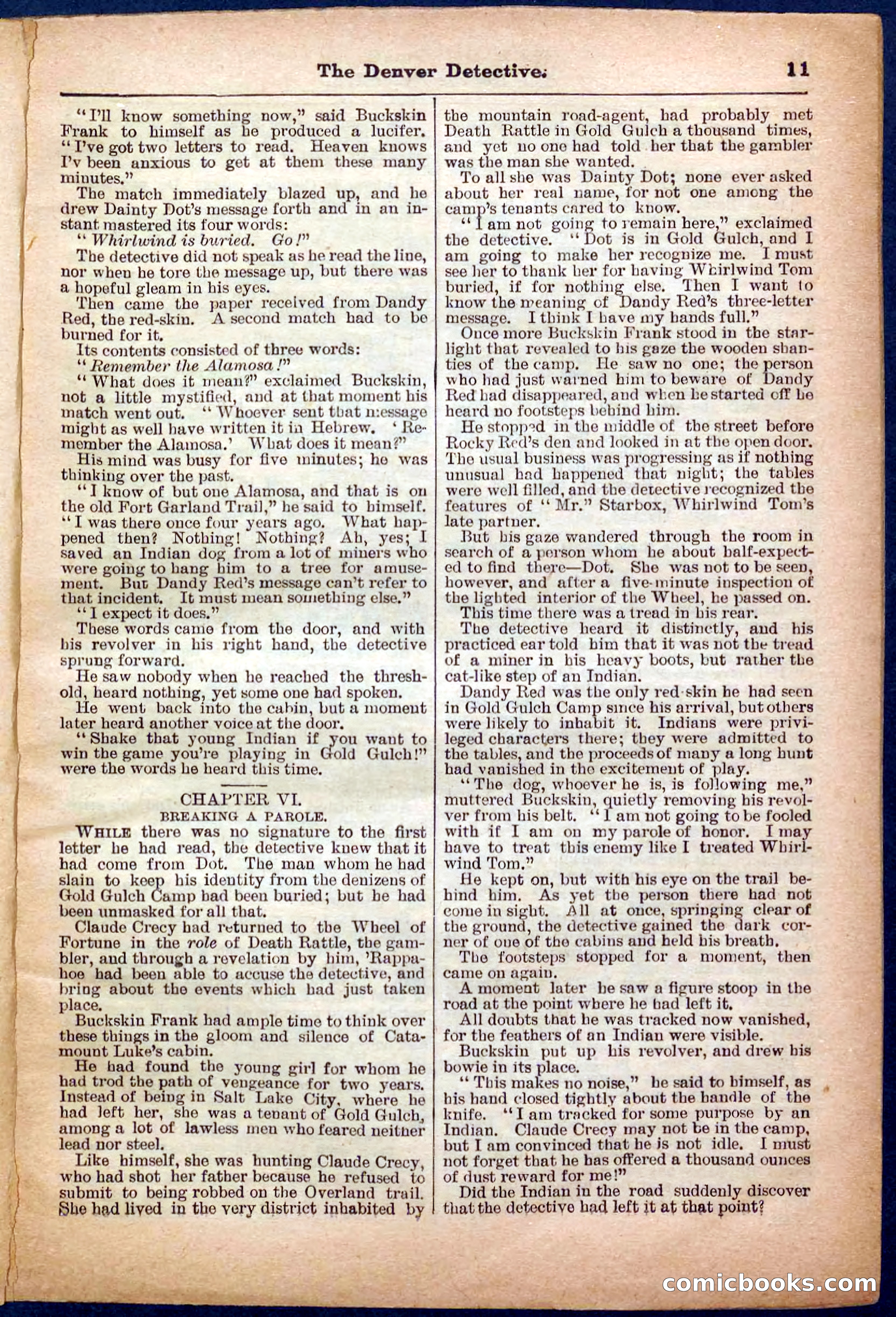 Beadle's Pocket Library No. 242: The Denver Detective — page 11 of 32