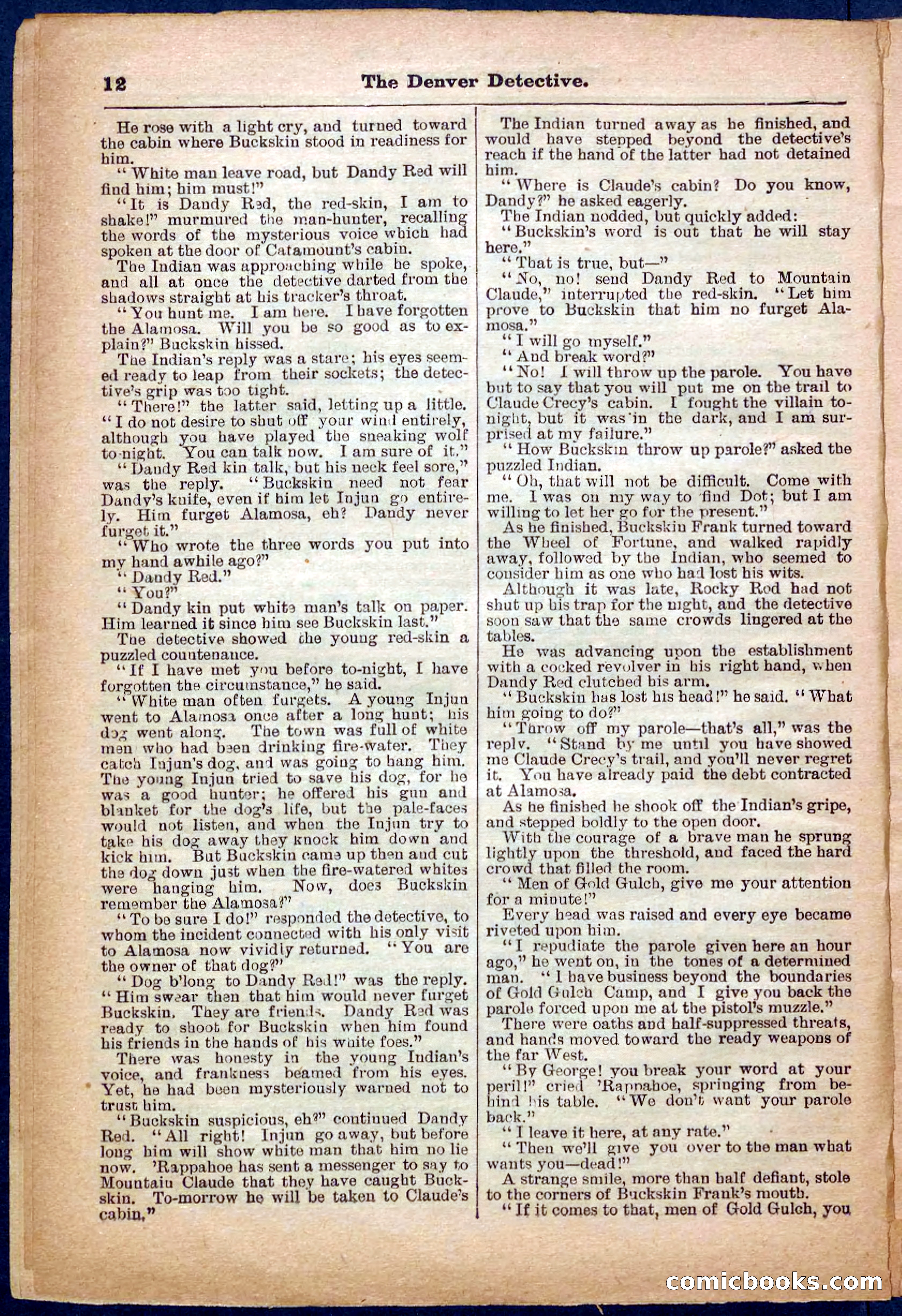 Beadle's Pocket Library No. 242: The Denver Detective — page 12 of 32