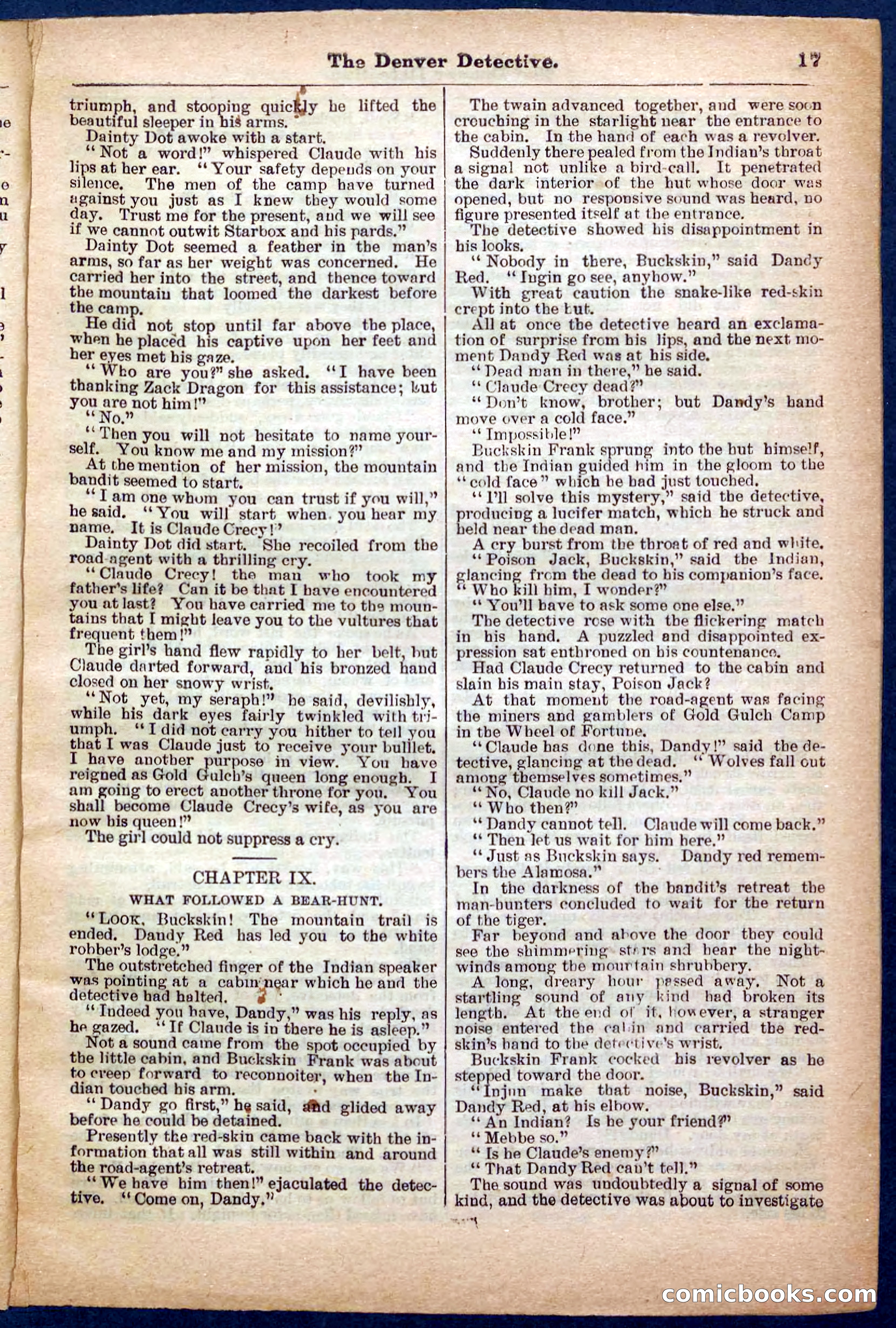 Beadle's Pocket Library No. 242: The Denver Detective — page 17 of 32