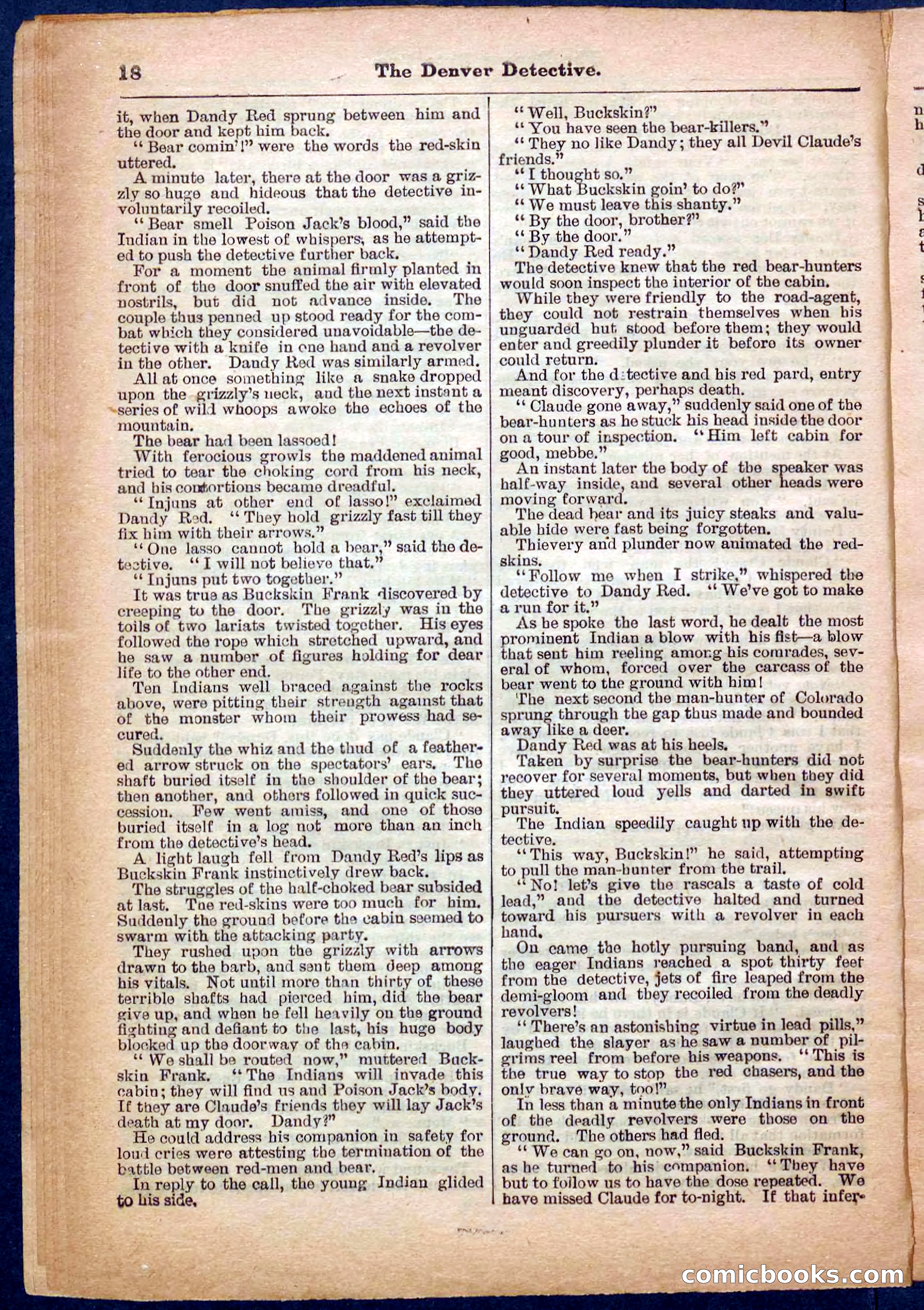 Beadle's Pocket Library No. 242: The Denver Detective — page 18 of 32