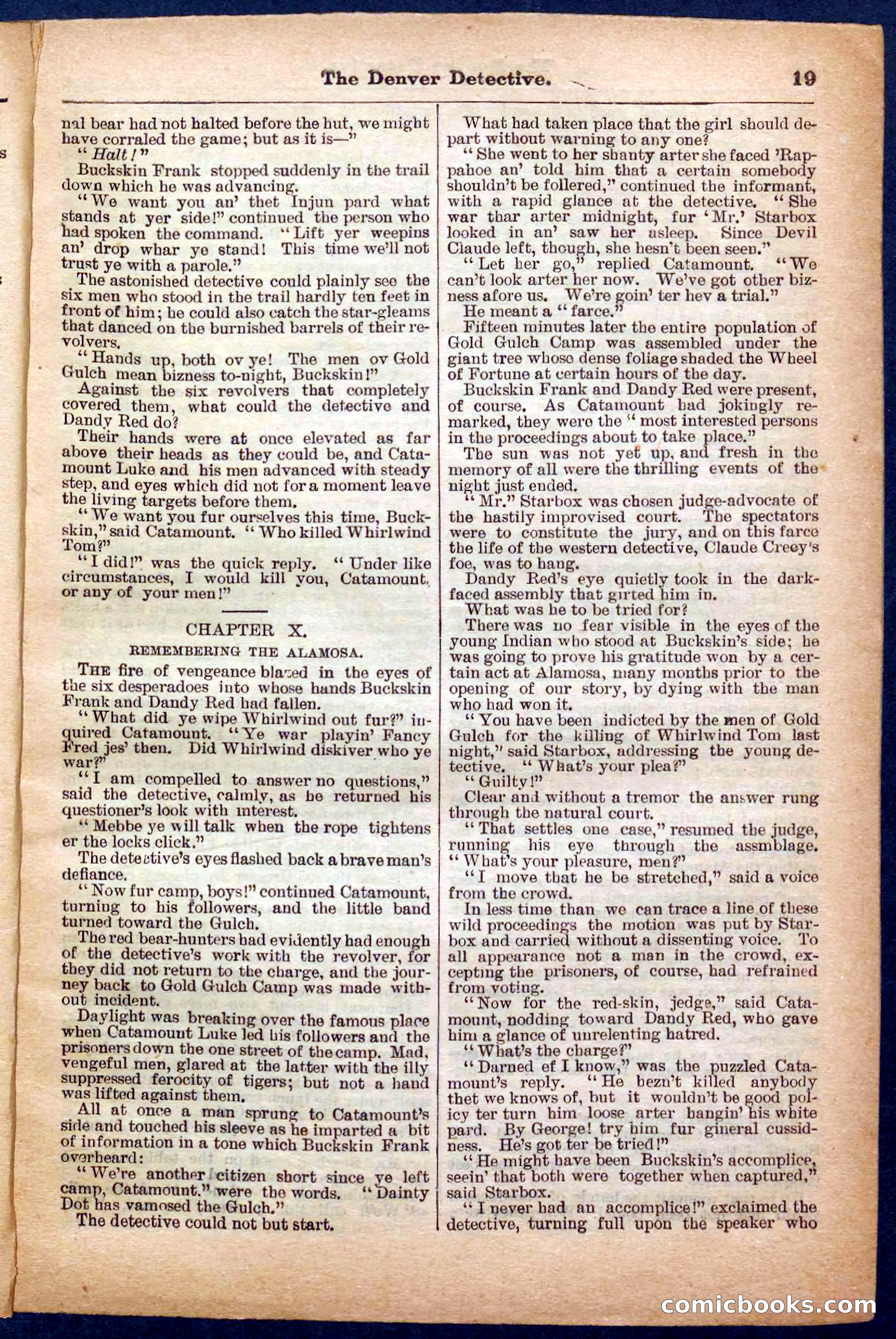 Beadle's Pocket Library No. 242: The Denver Detective — page 19 of 32