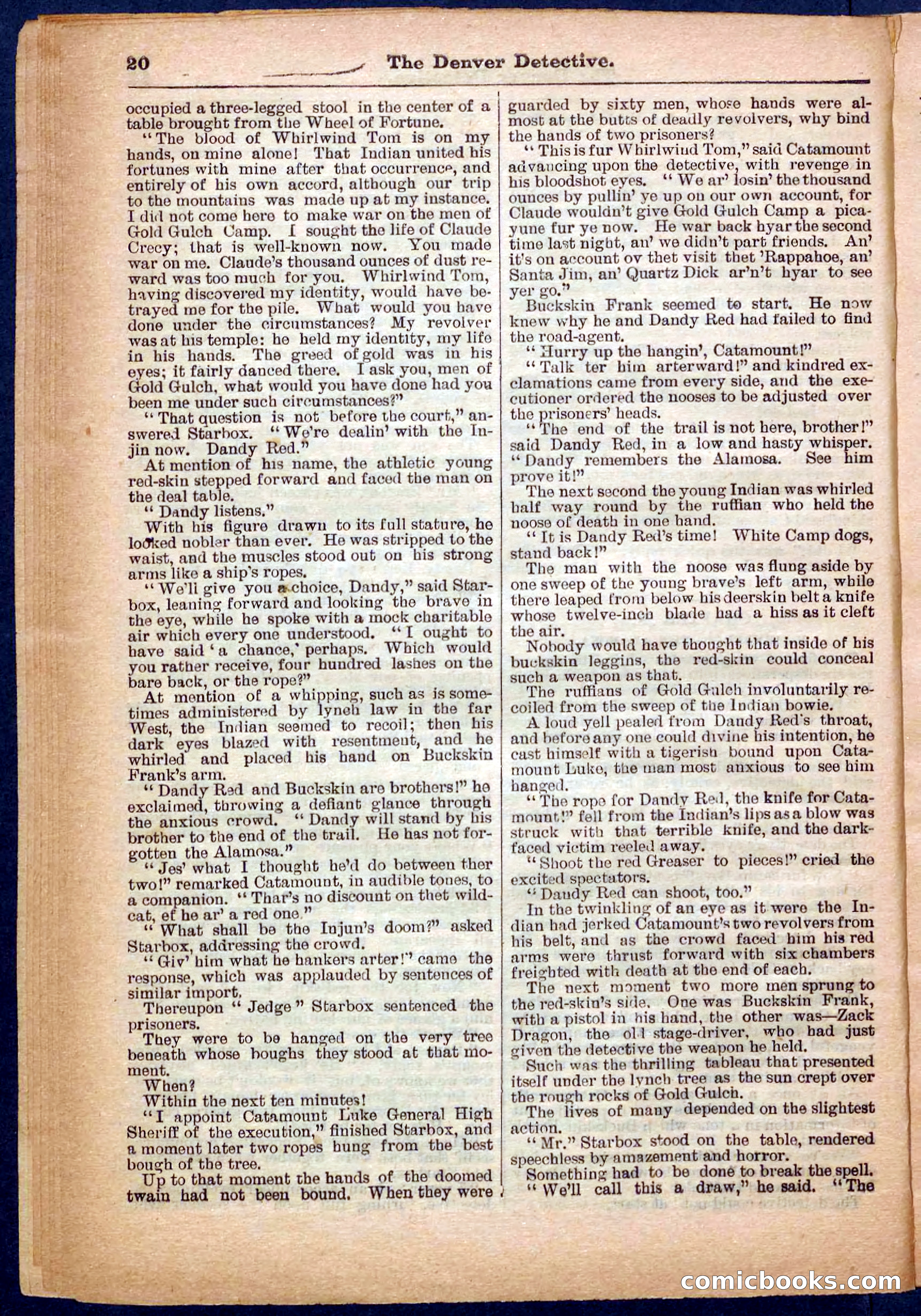 Beadle's Pocket Library No. 242: The Denver Detective — page 20 of 32
