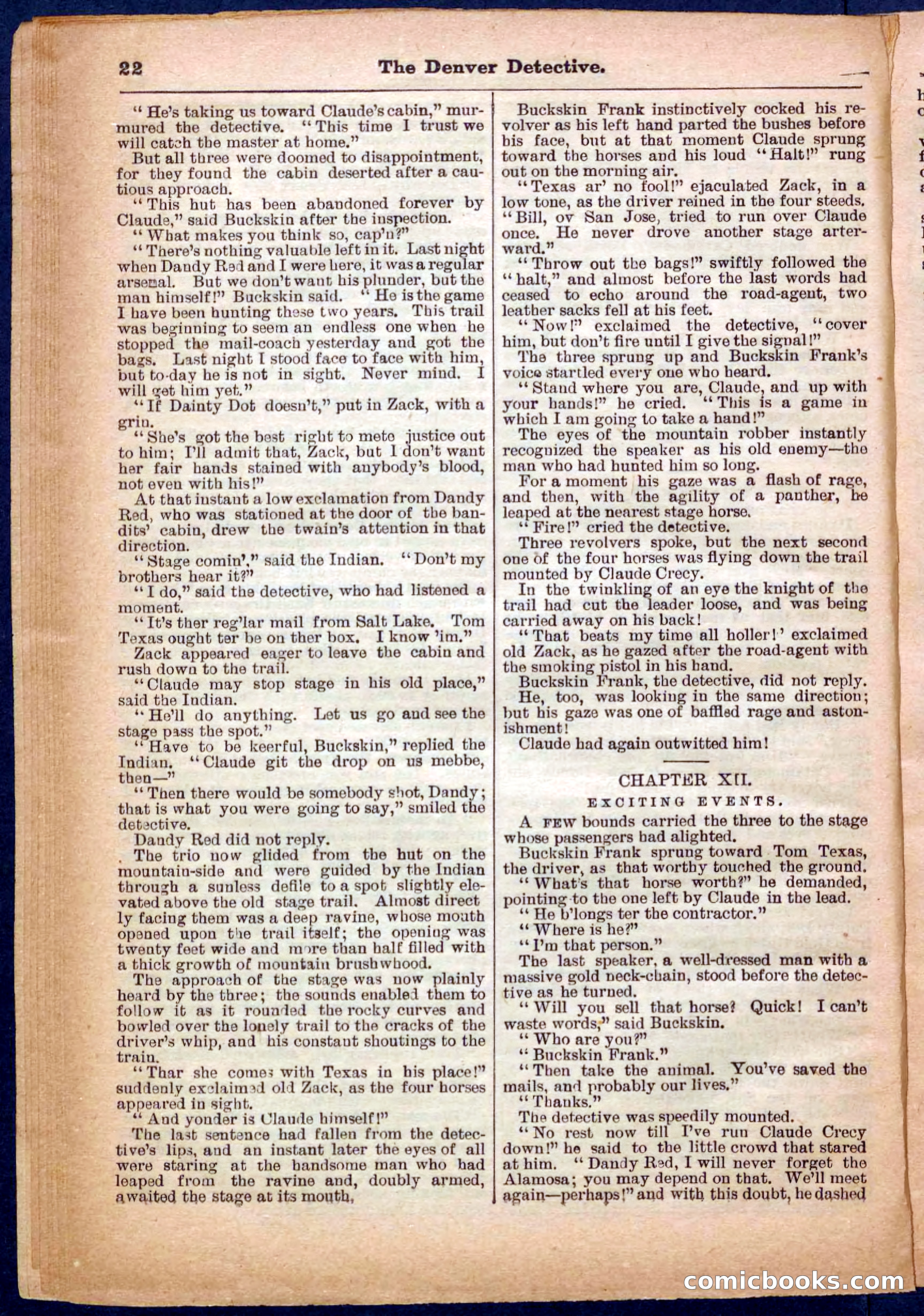 Beadle's Pocket Library No. 242: The Denver Detective — page 22 of 32