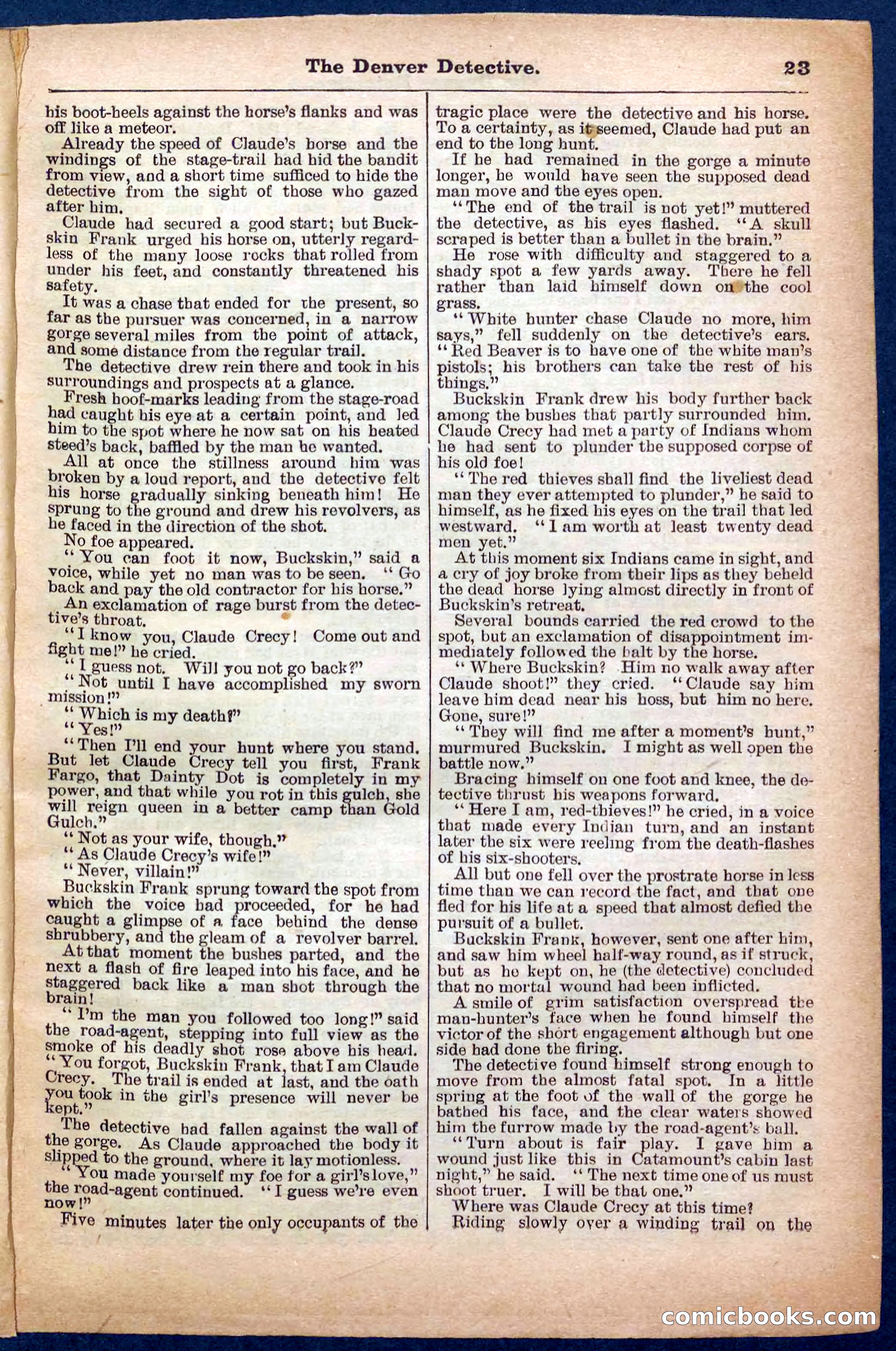 Beadle's Pocket Library No. 242: The Denver Detective — page 23 of 32