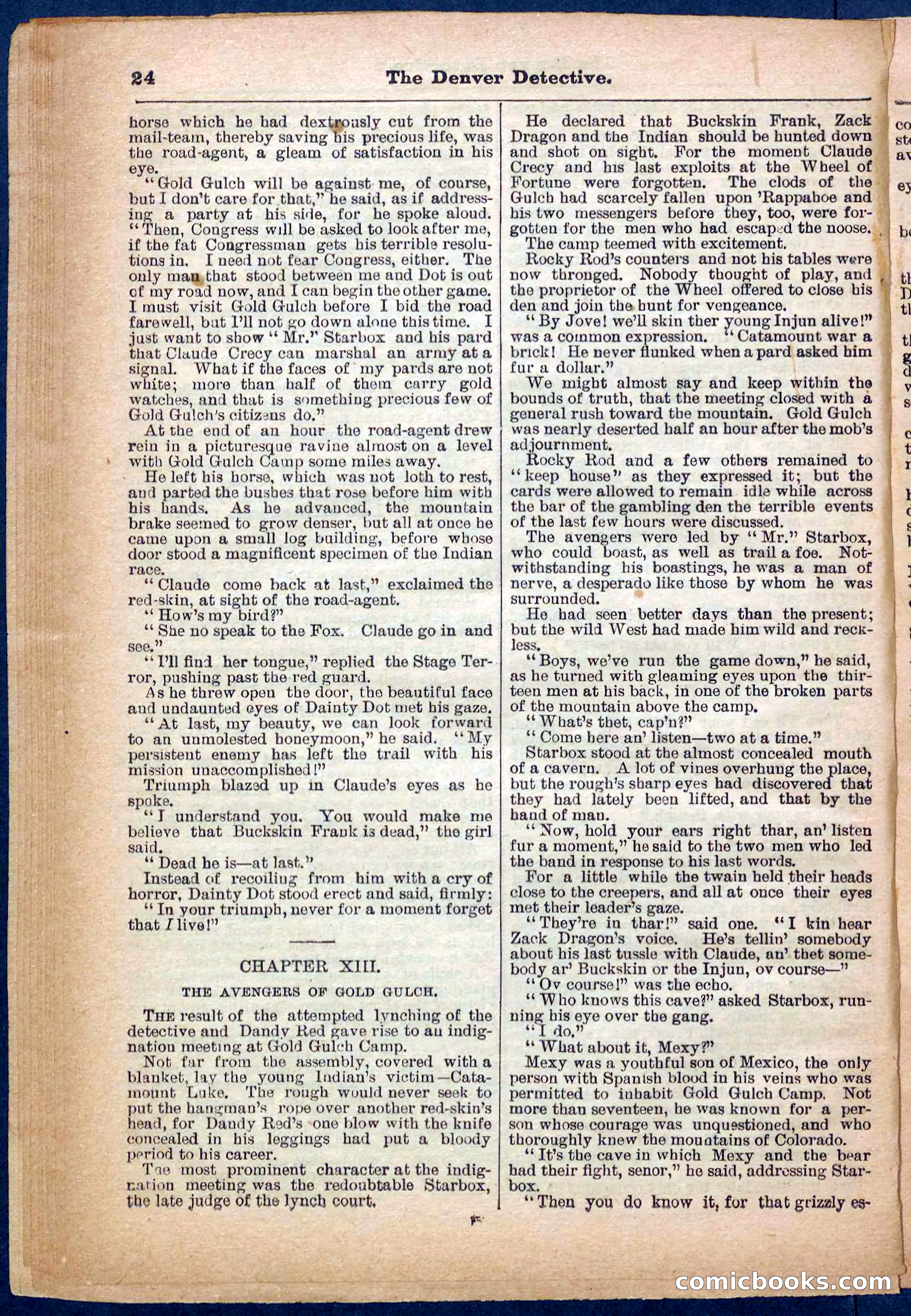 Beadle's Pocket Library No. 242: The Denver Detective — page 24 of 32