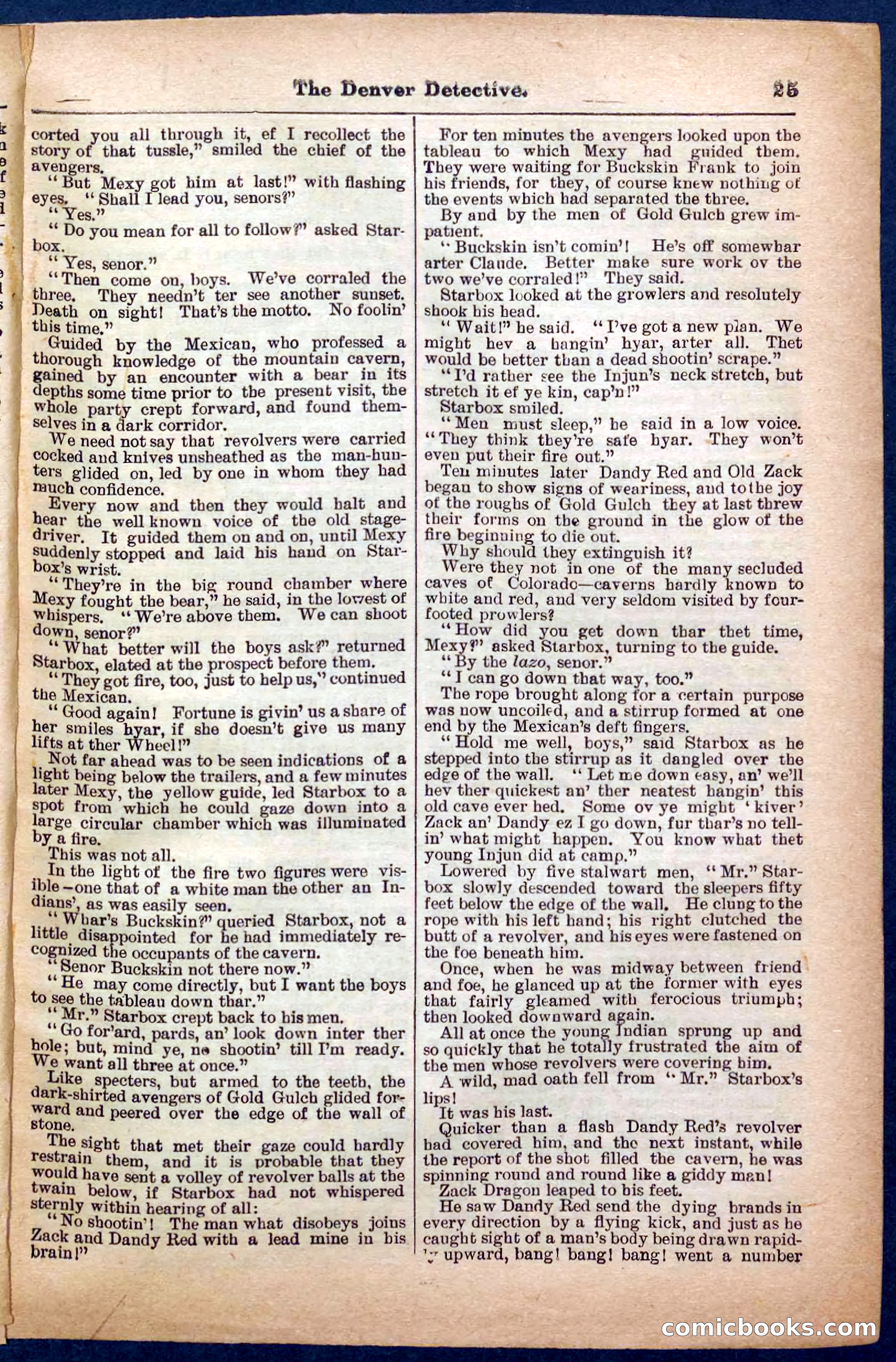 Beadle's Pocket Library No. 242: The Denver Detective — page 25 of 32