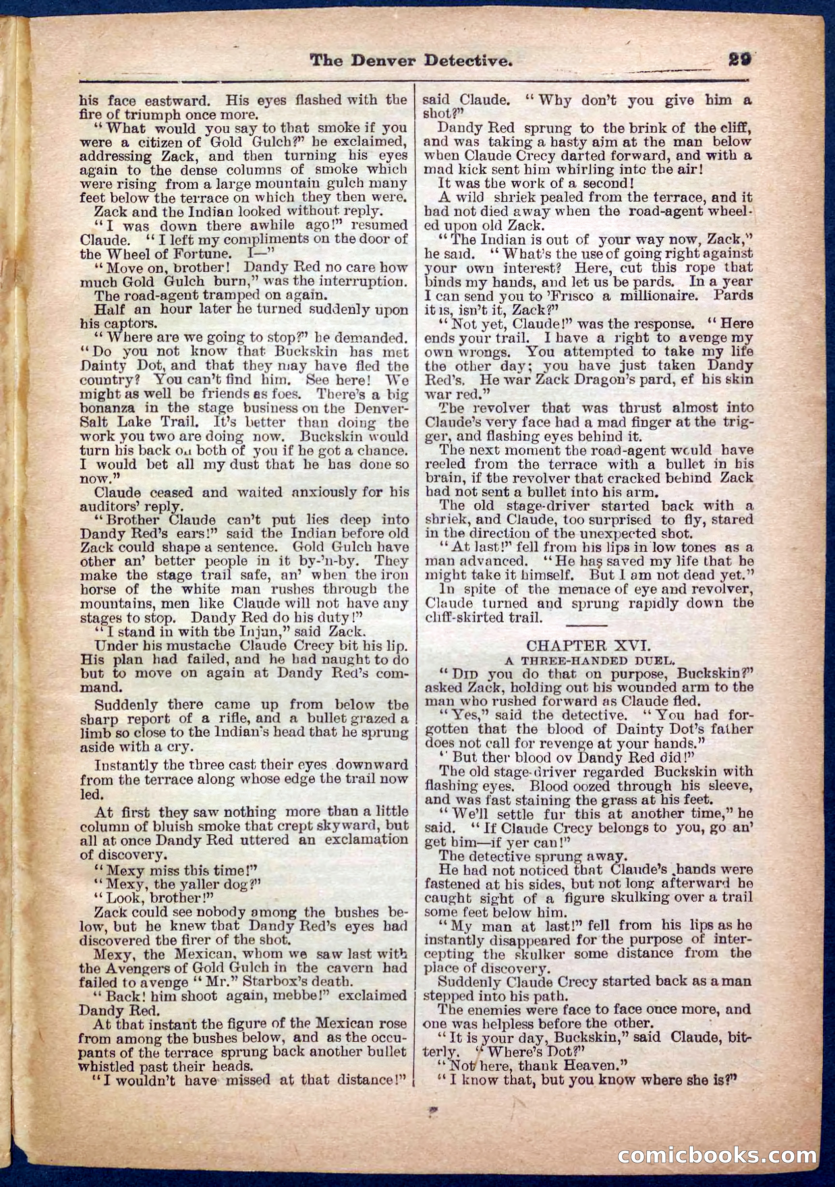 Beadle's Pocket Library No. 242: The Denver Detective — page 29 of 32