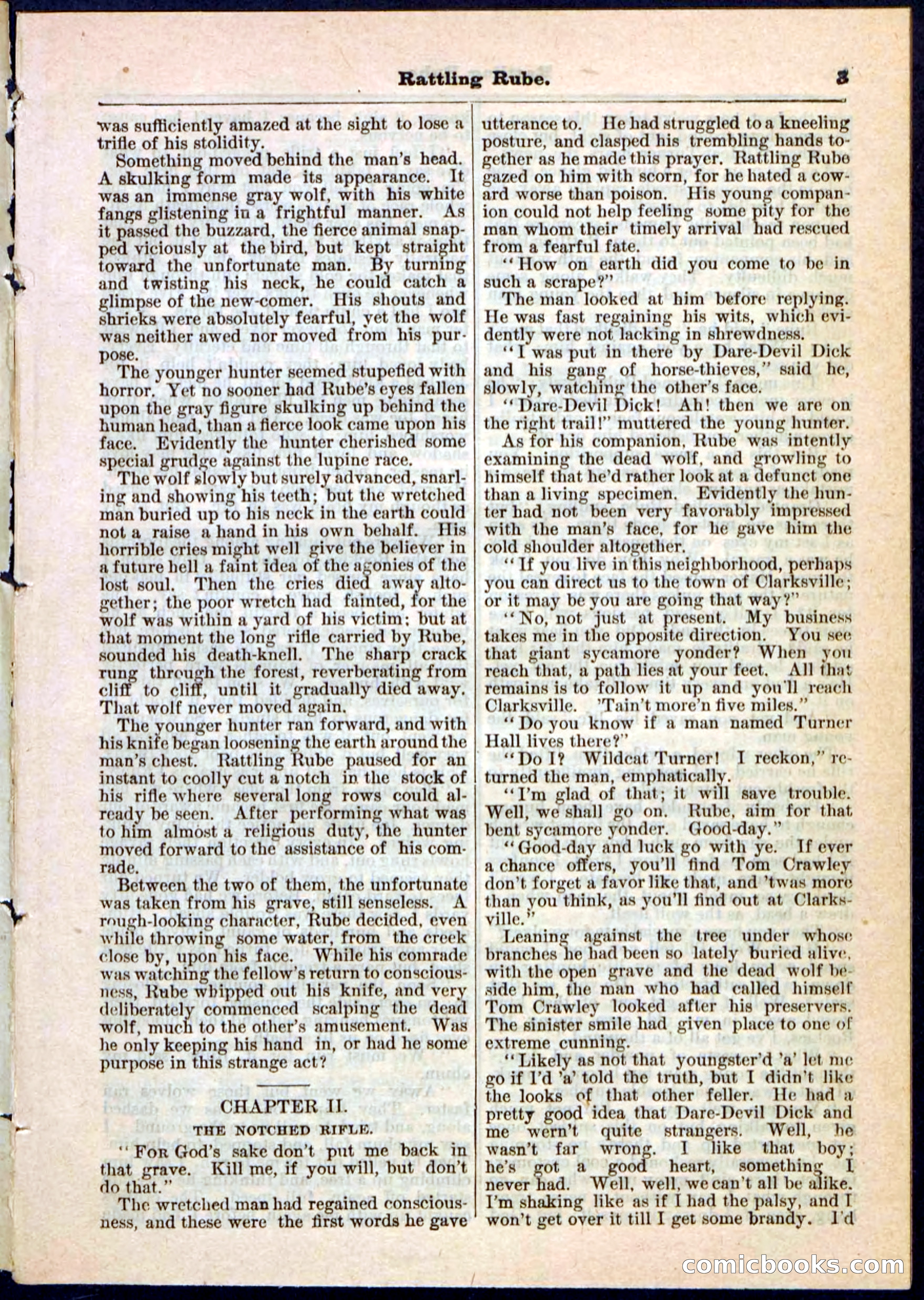 Beadle's Pocket Library, Vol. II, No. 25 — page 3 of 32