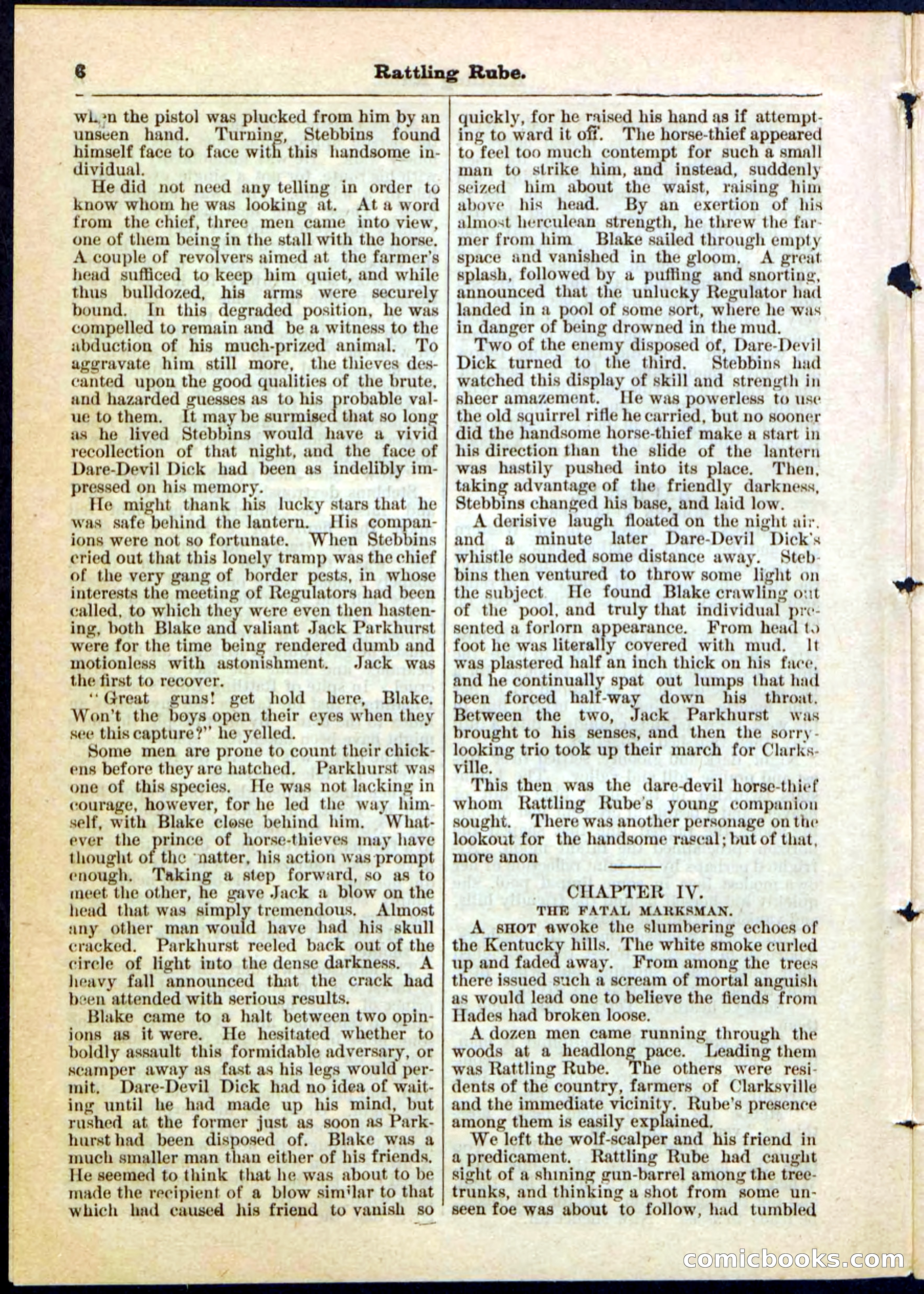 Beadle's Pocket Library, Vol. II, No. 25 — page 6 of 32