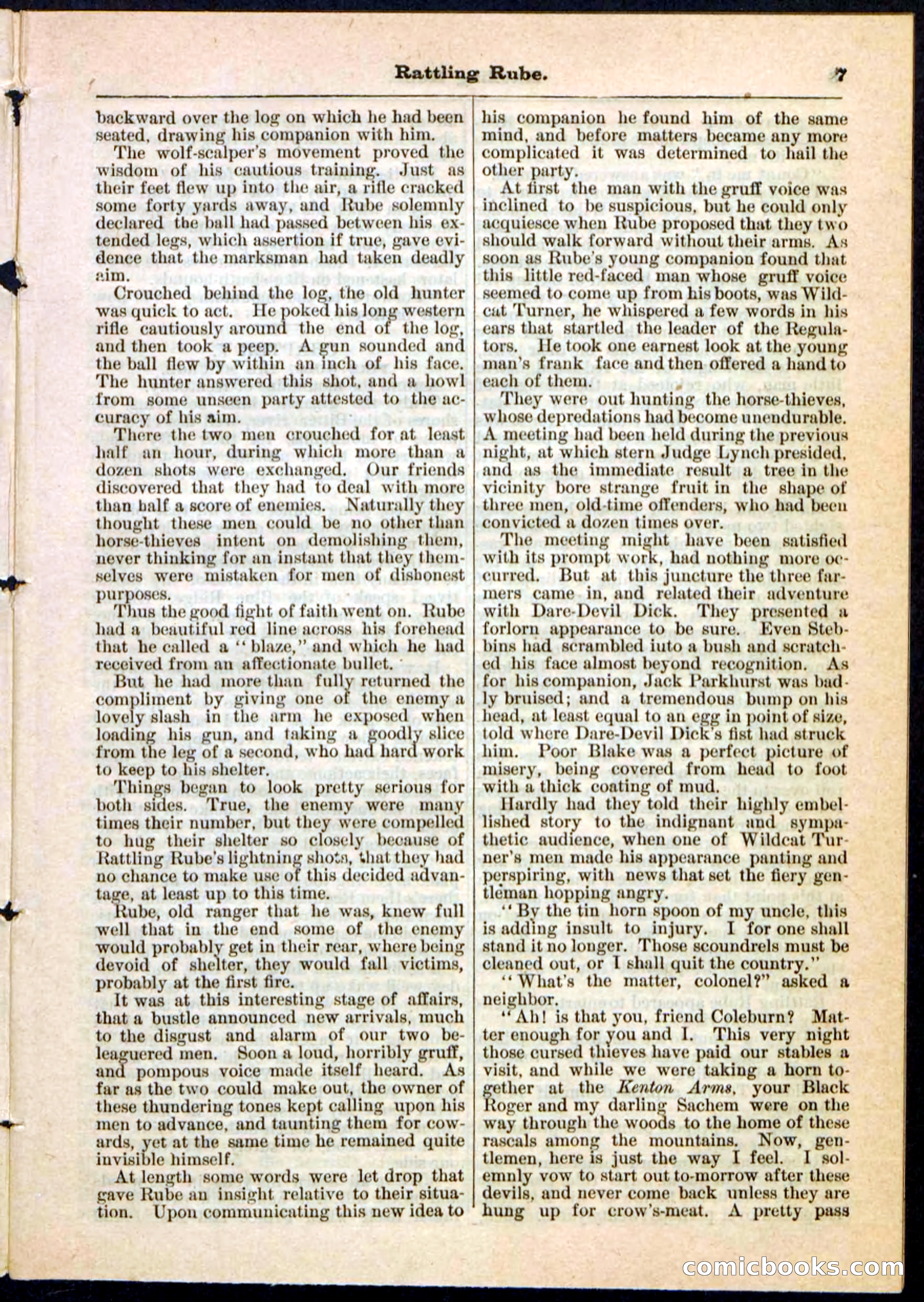Beadle's Pocket Library, Vol. II, No. 25 — page 7 of 32