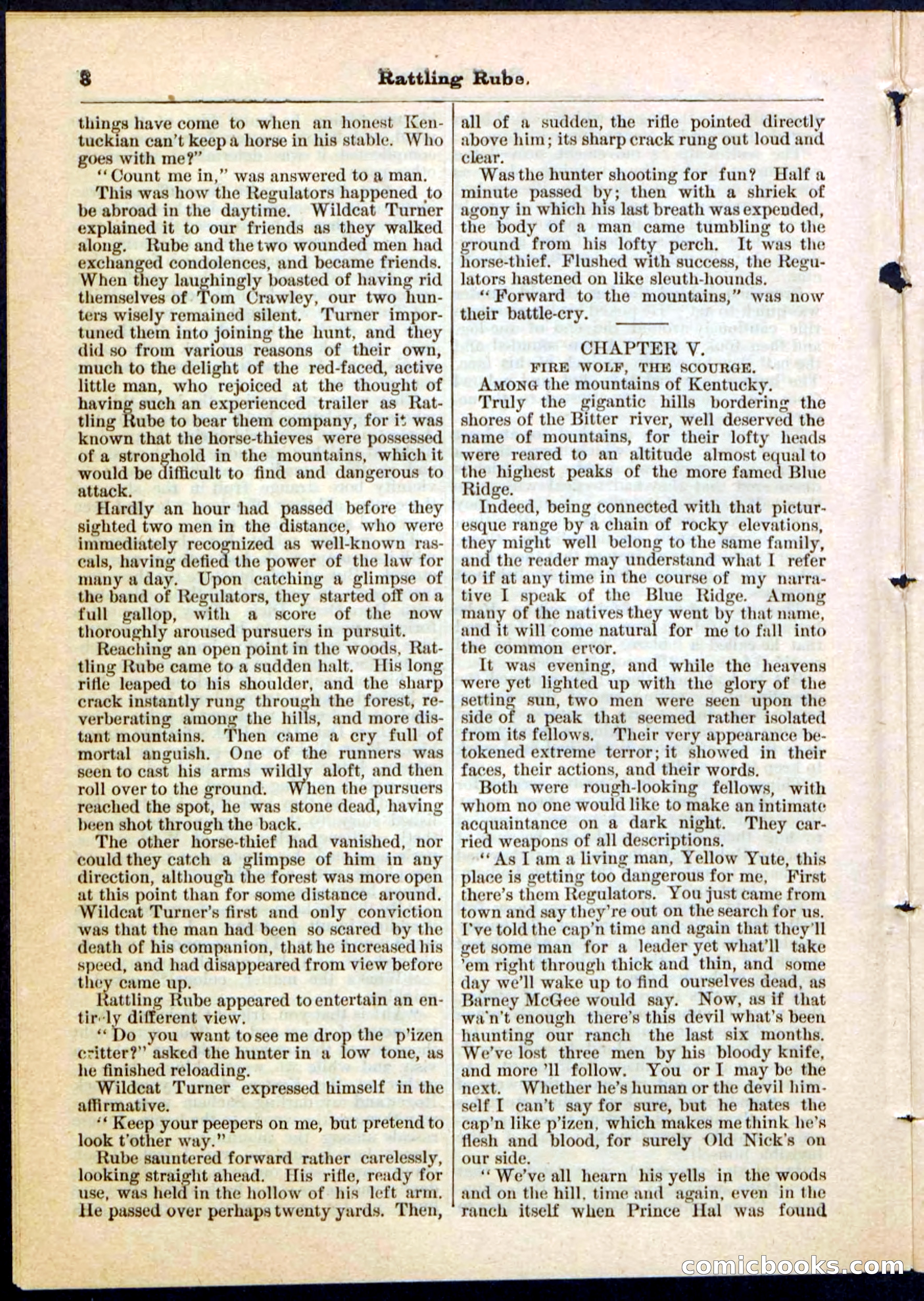Beadle's Pocket Library, Vol. II, No. 25 — page 8 of 32