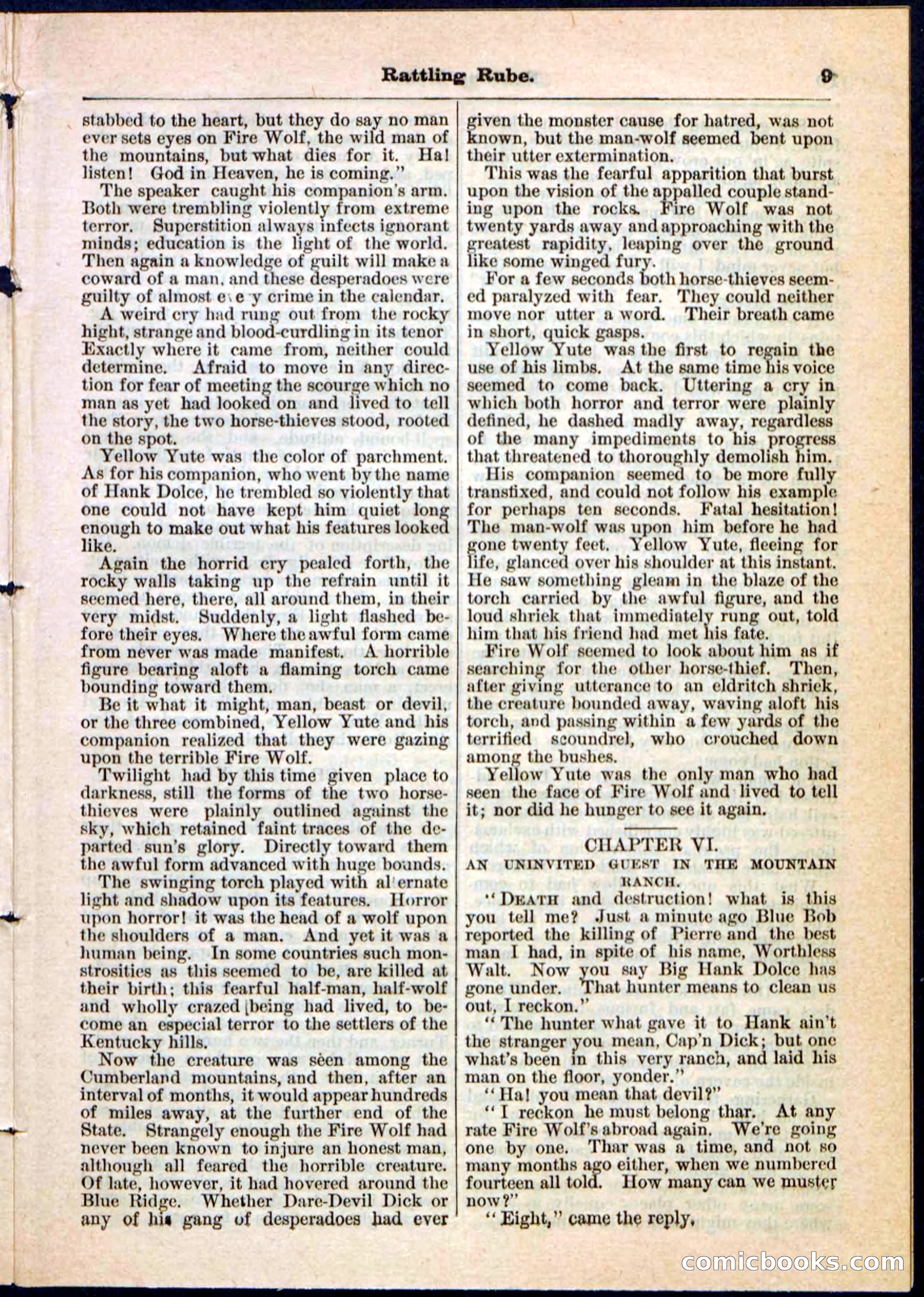 Beadle's Pocket Library, Vol. II, No. 25 — page 9 of 32