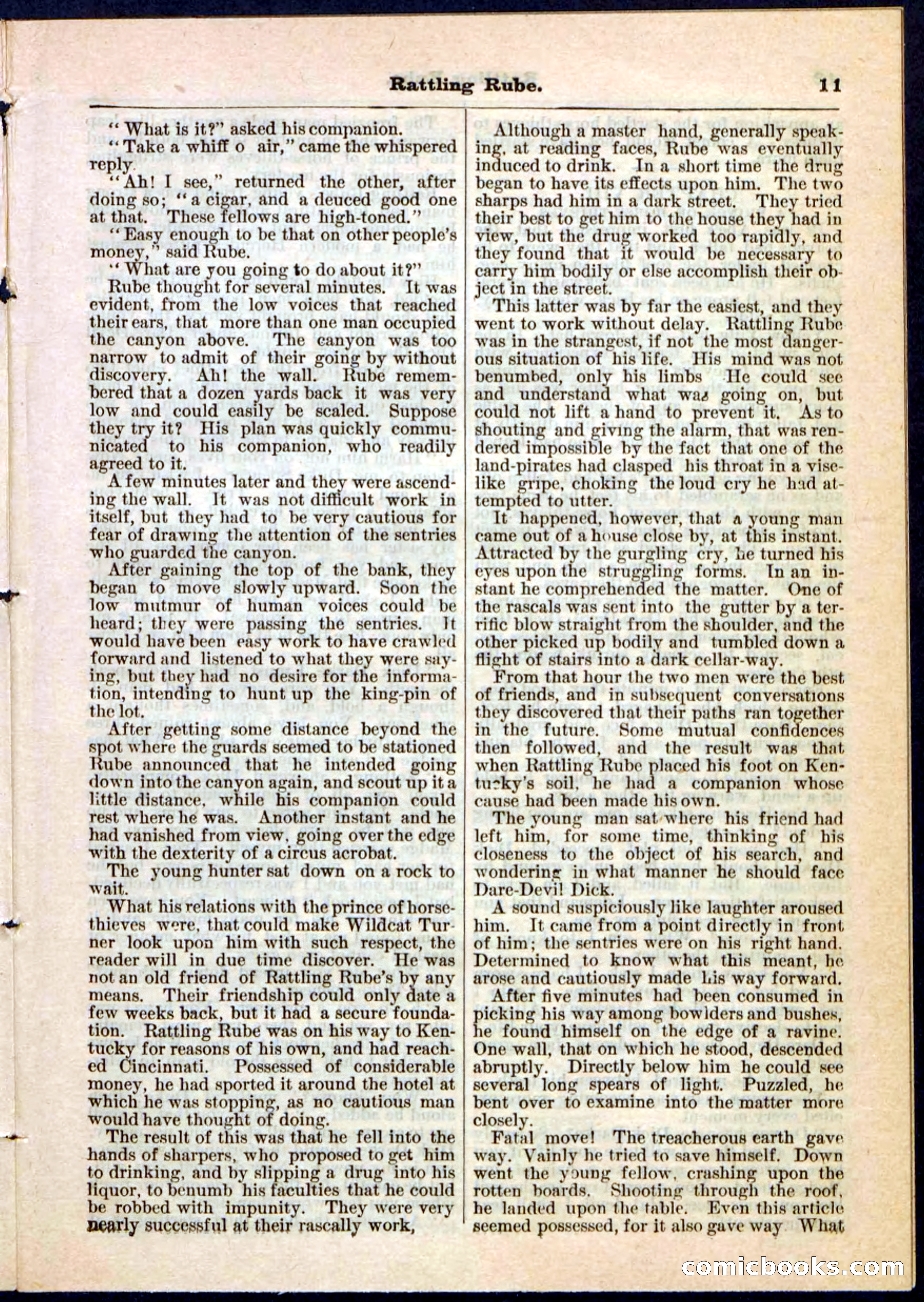 Beadle's Pocket Library, Vol. II, No. 25 — page 11 of 32