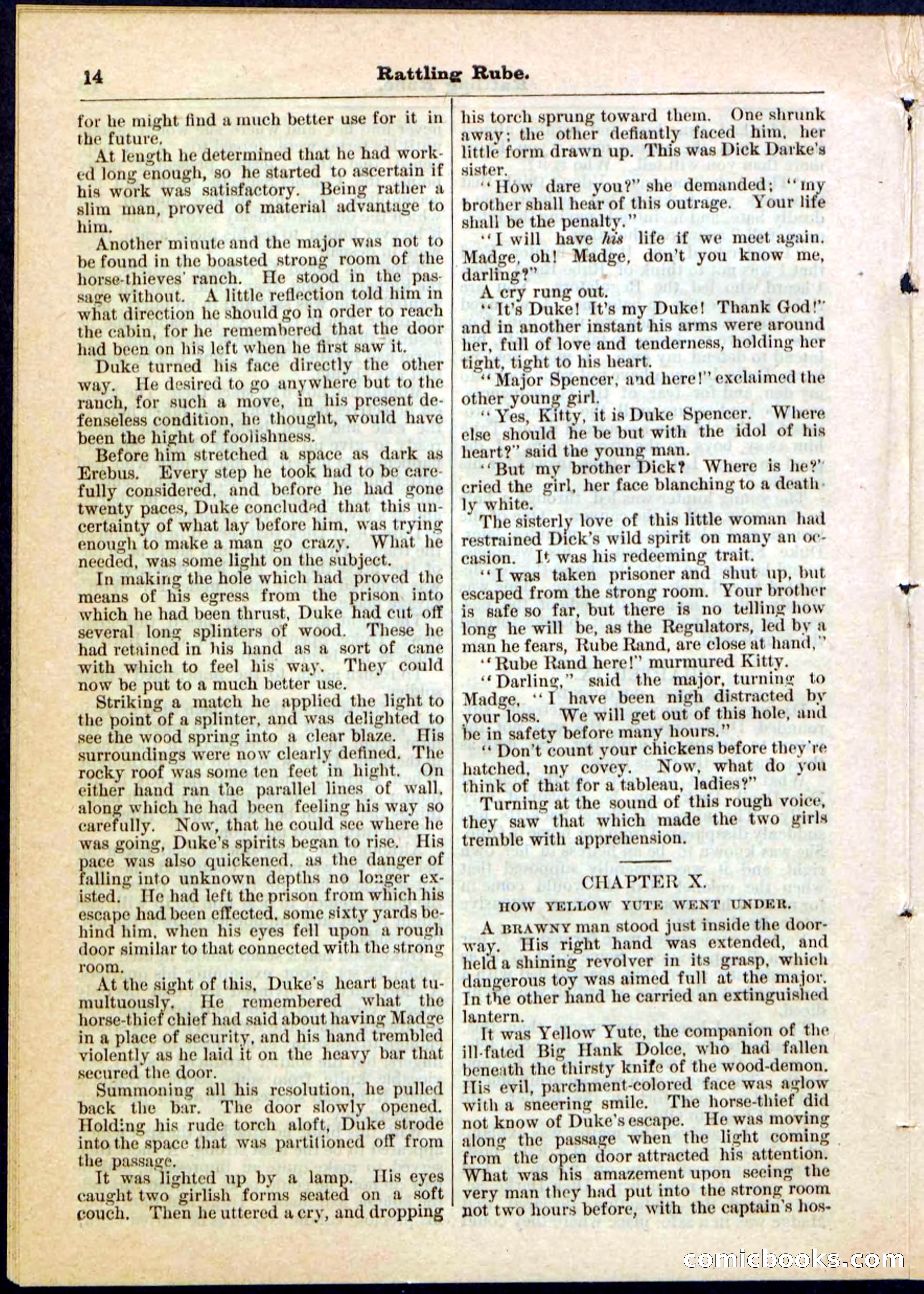 Beadle's Pocket Library, Vol. II, No. 25 — page 14 of 32