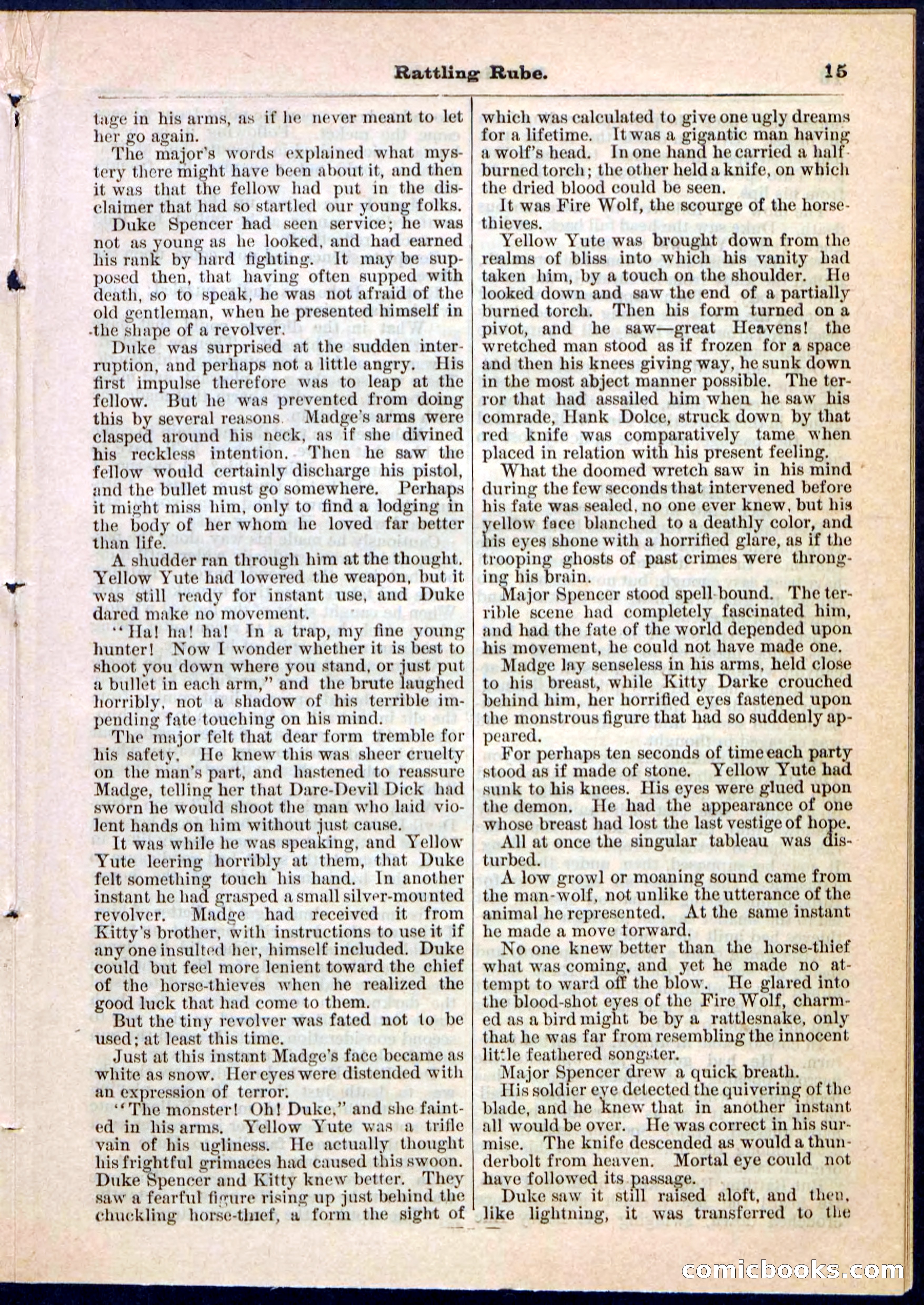 Beadle's Pocket Library, Vol. II, No. 25 — page 15 of 32
