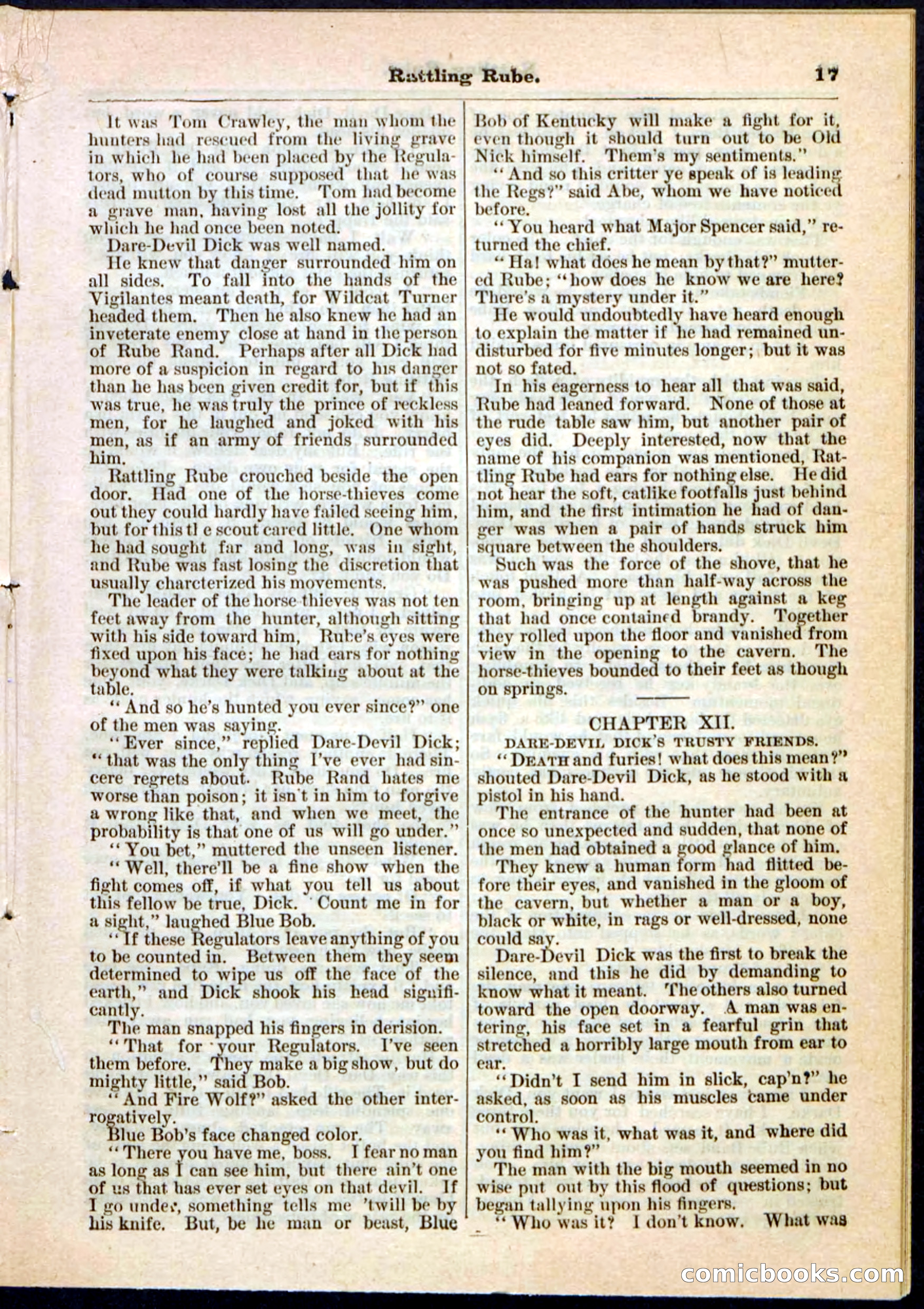 Beadle's Pocket Library, Vol. II, No. 25 — page 17 of 32