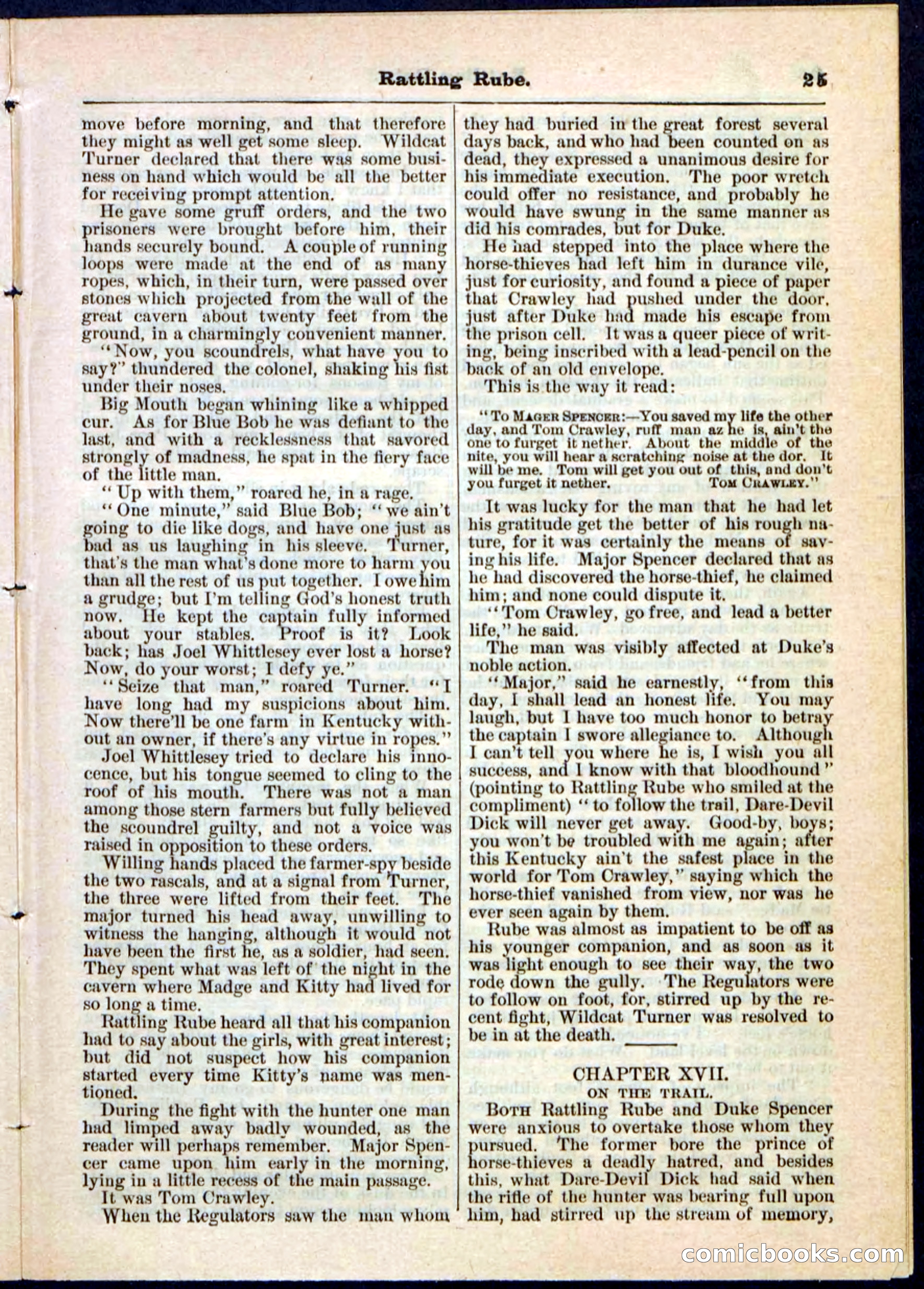 Beadle's Pocket Library, Vol. II, No. 25 — page 25 of 32