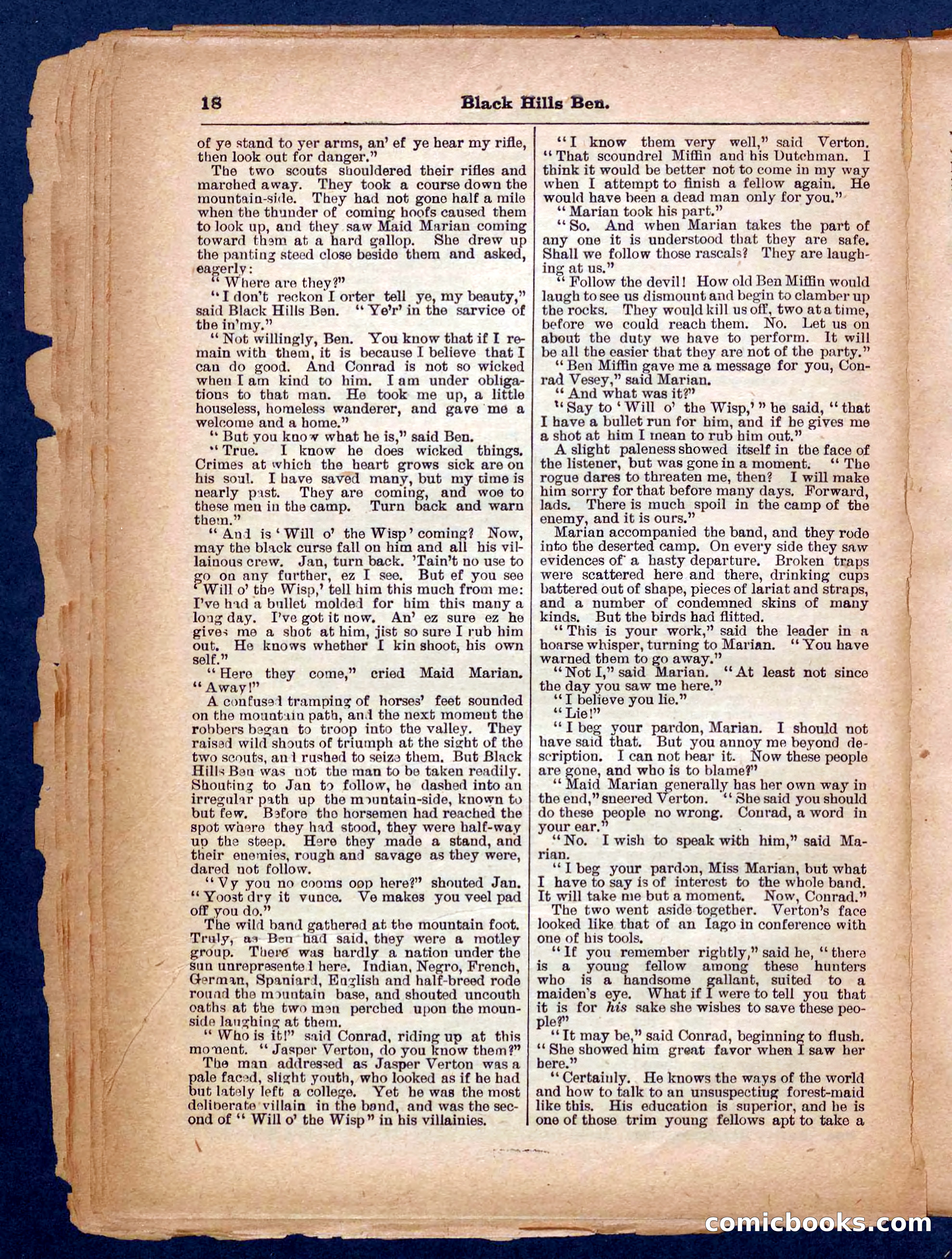 Beadle's Pocket Library No. 254 — page 18 of 32