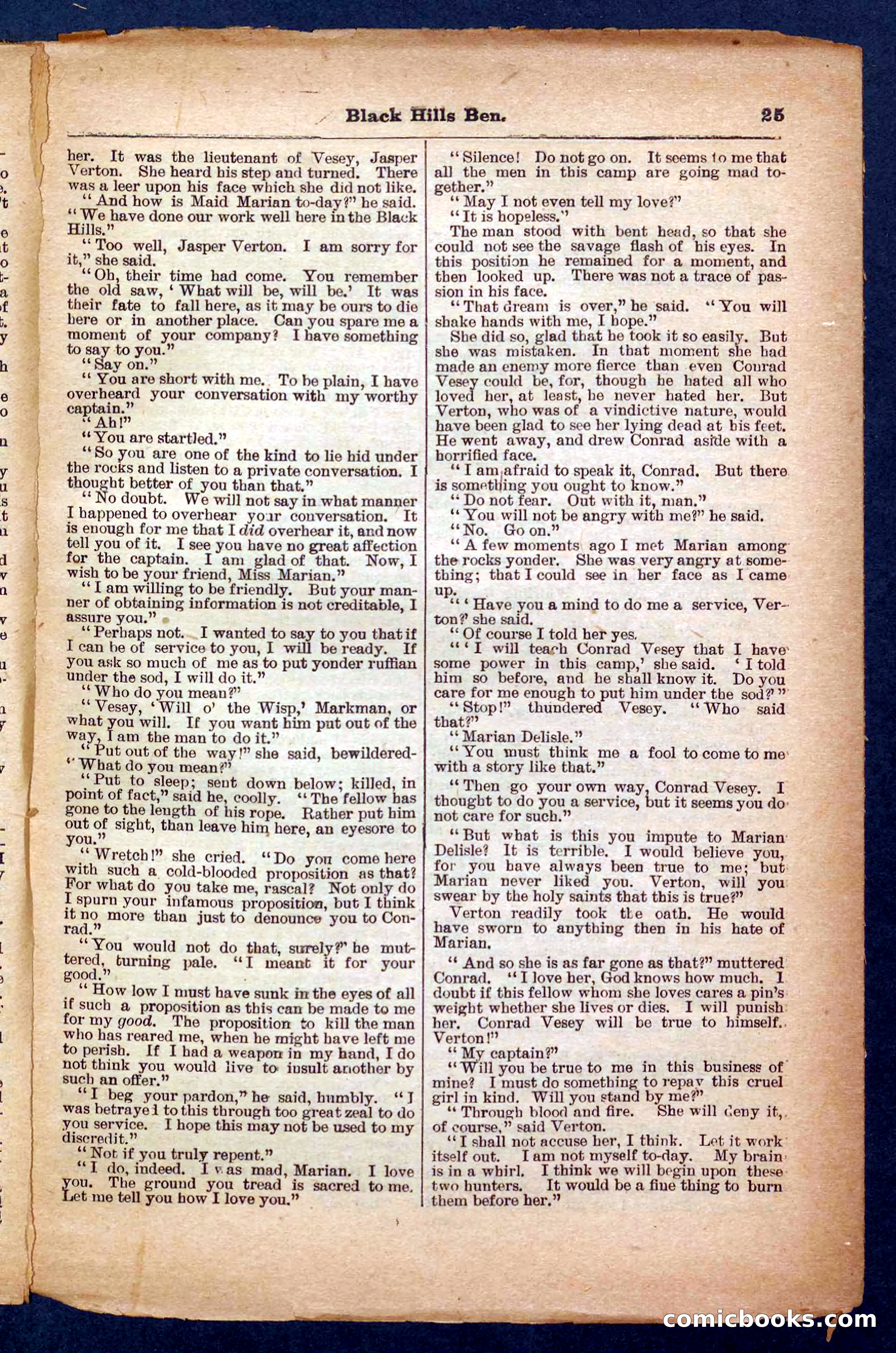 Beadle's Pocket Library No. 254 — page 25 of 32