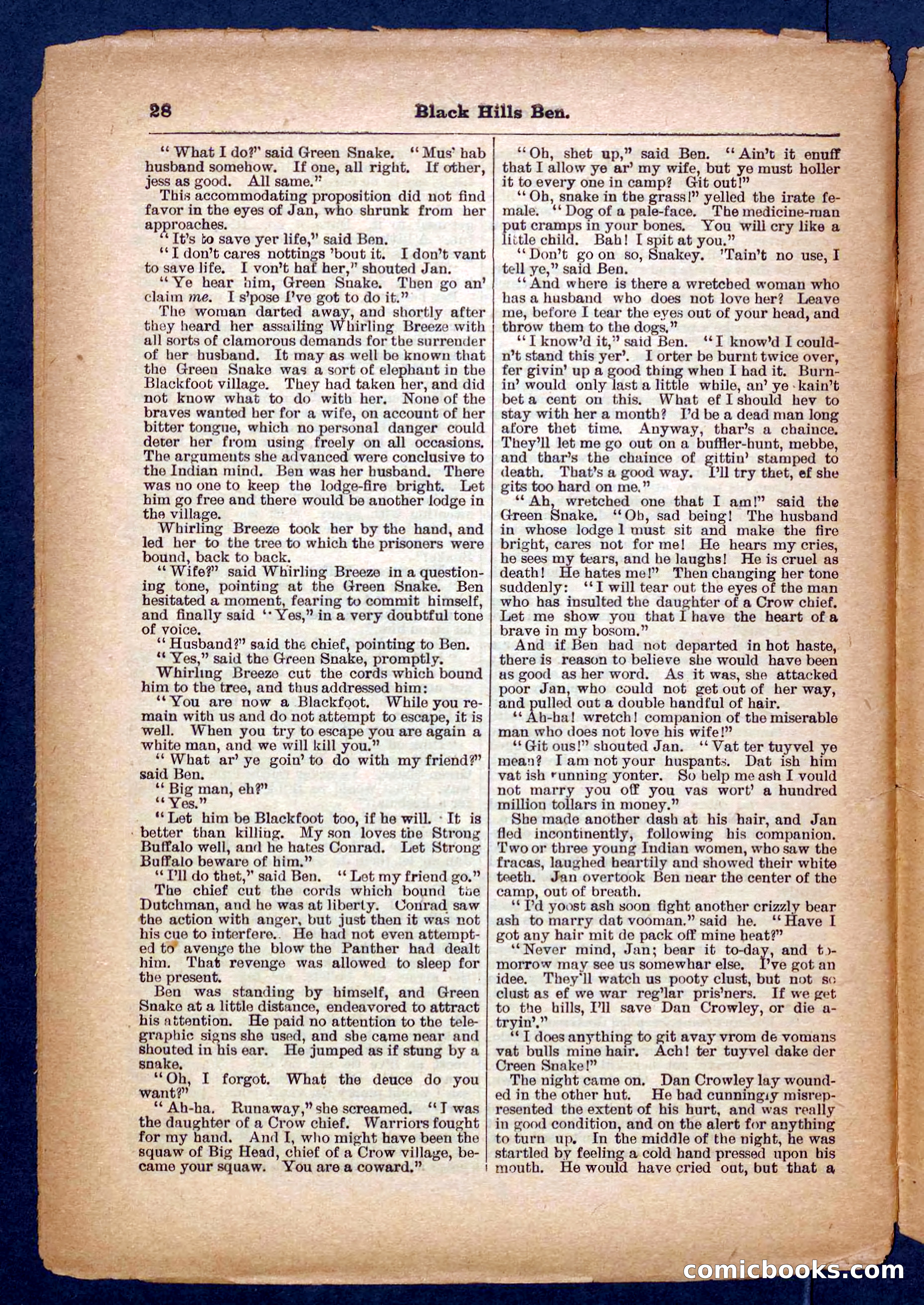 Beadle's Pocket Library No. 254 — page 28 of 32