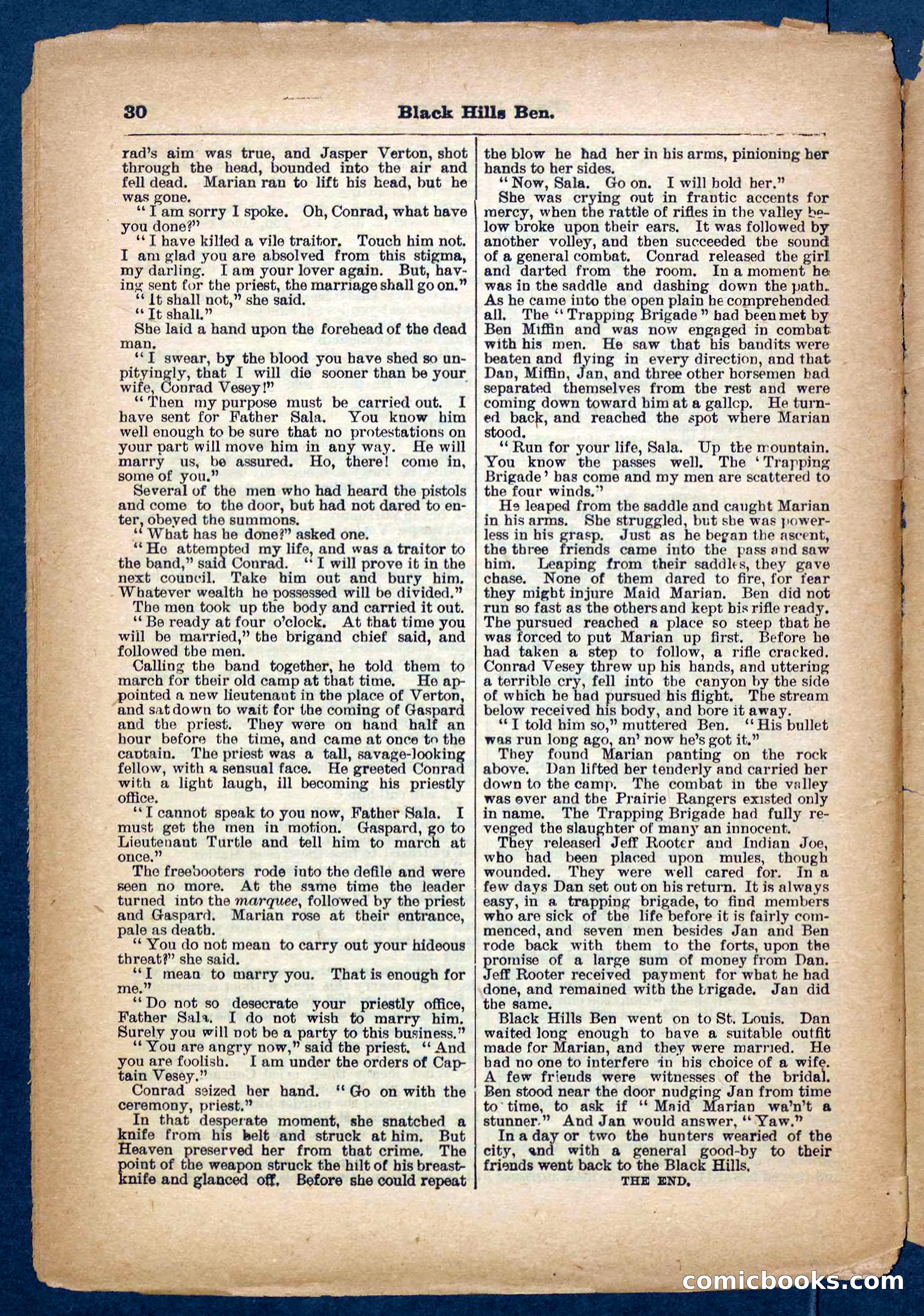 Beadle's Pocket Library No. 254 — page 30 of 32
