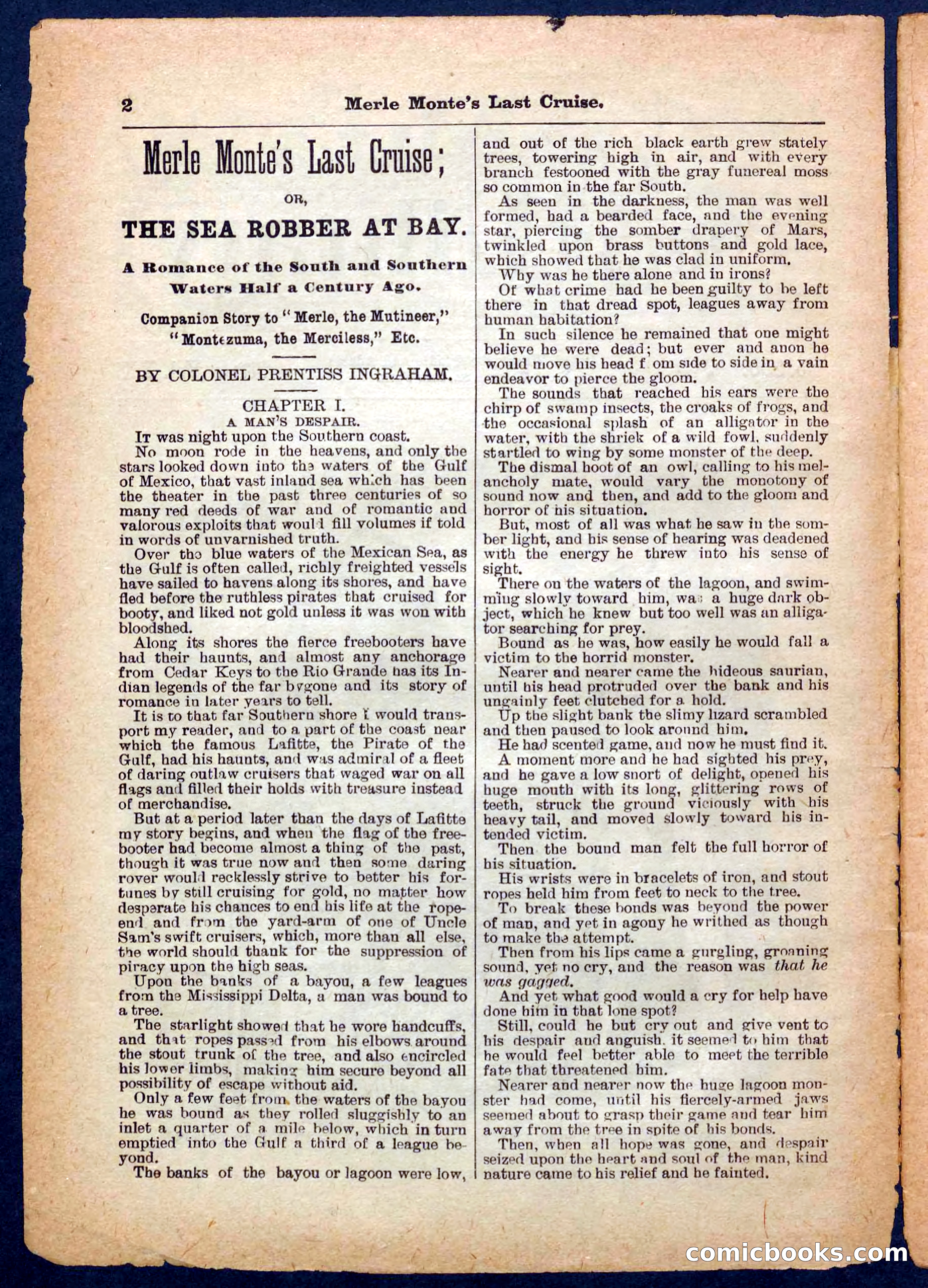 Beadle's Pocket Library No. 256 — page 2 of 32