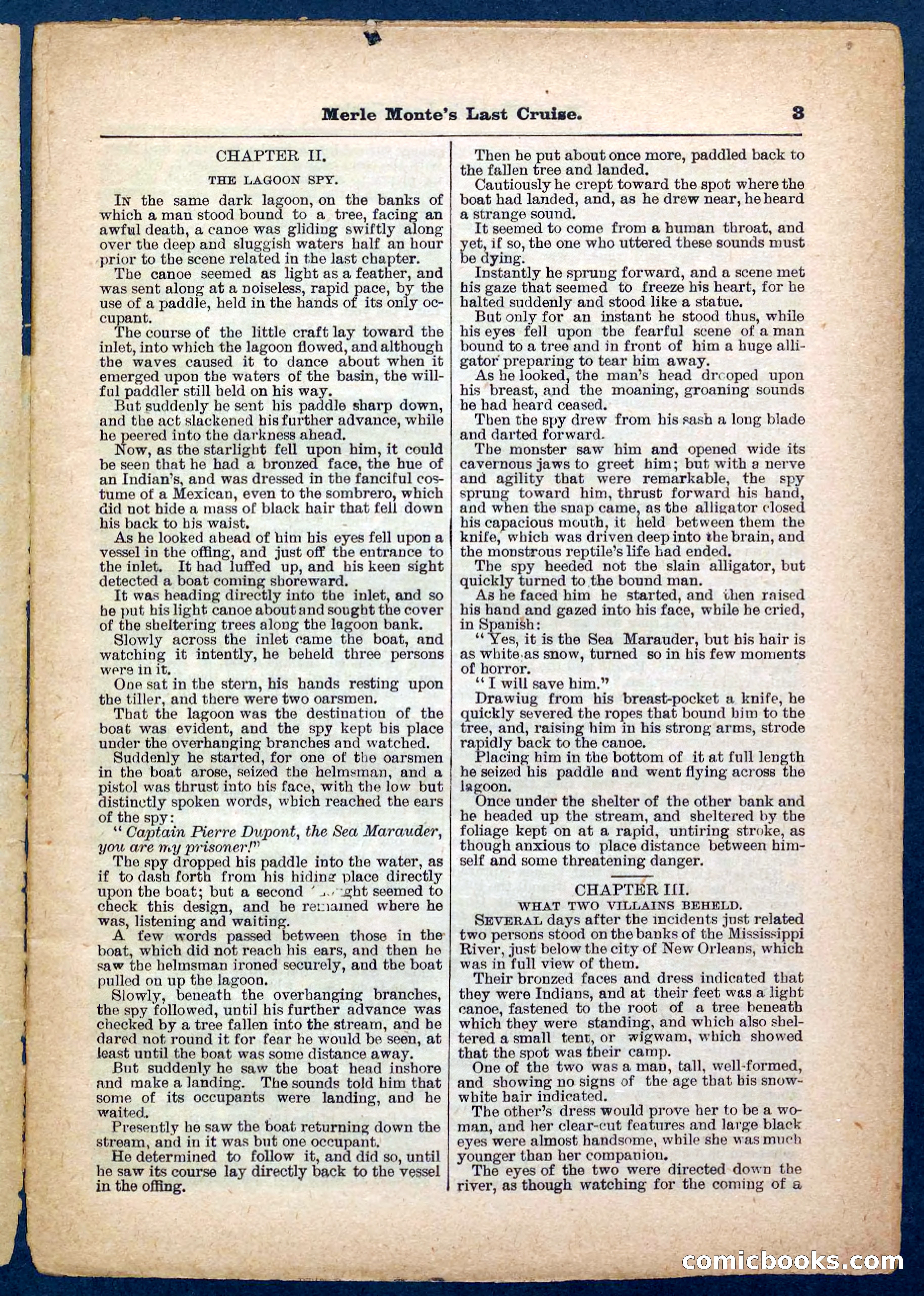 Beadle's Pocket Library No. 256 — page 3 of 32