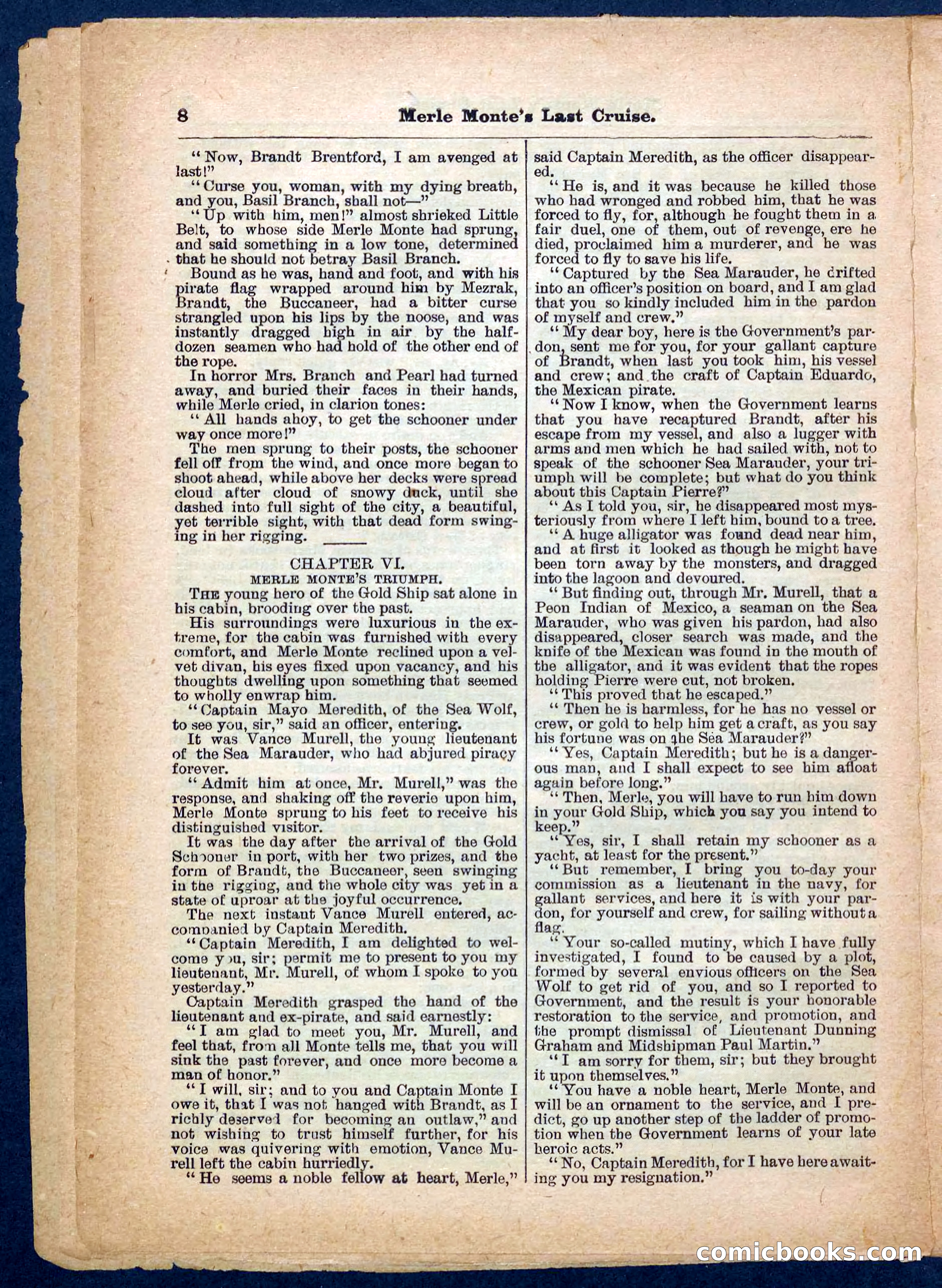 Beadle's Pocket Library No. 256 — page 8 of 32
