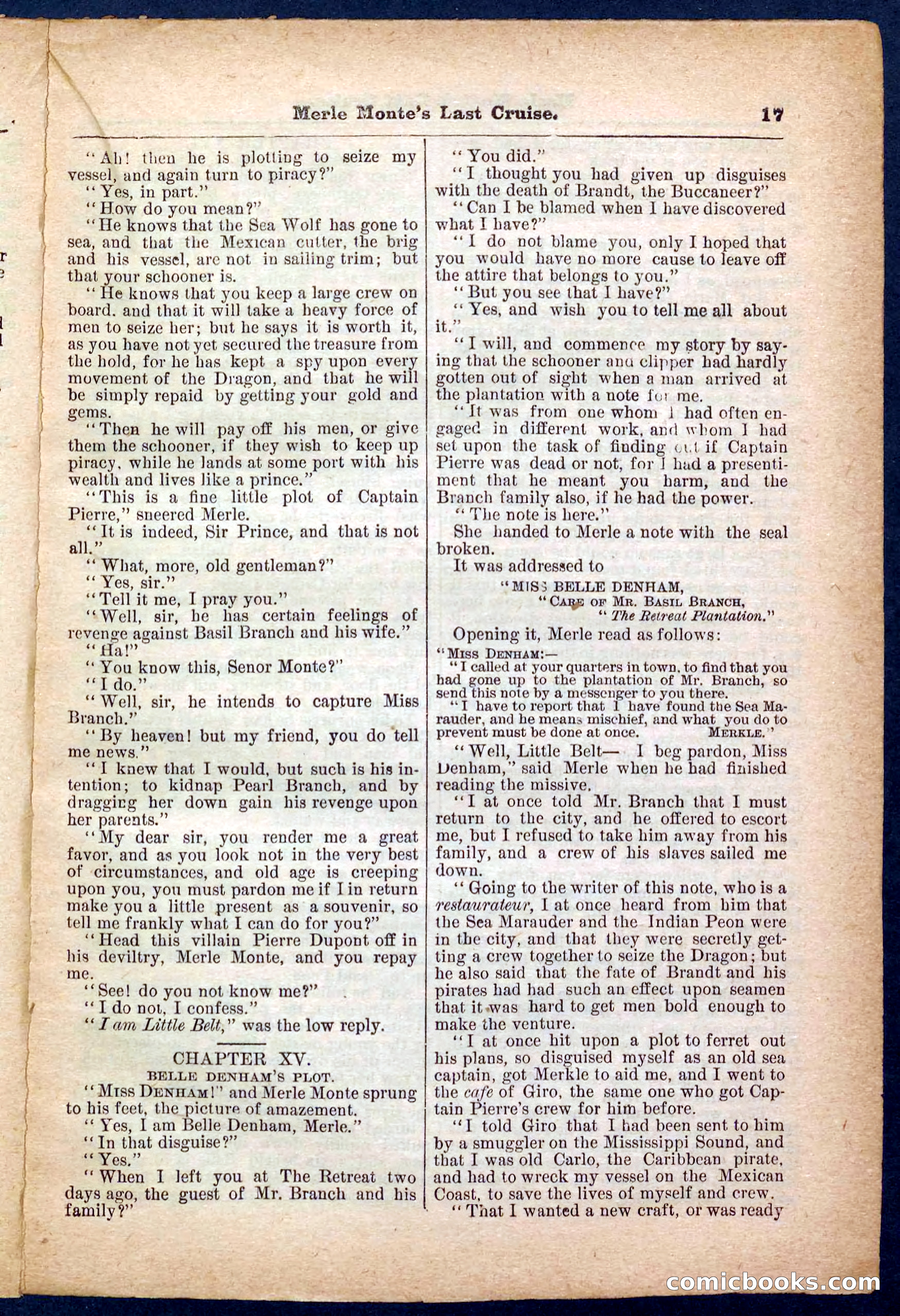 Beadle's Pocket Library No. 256 — page 17 of 32