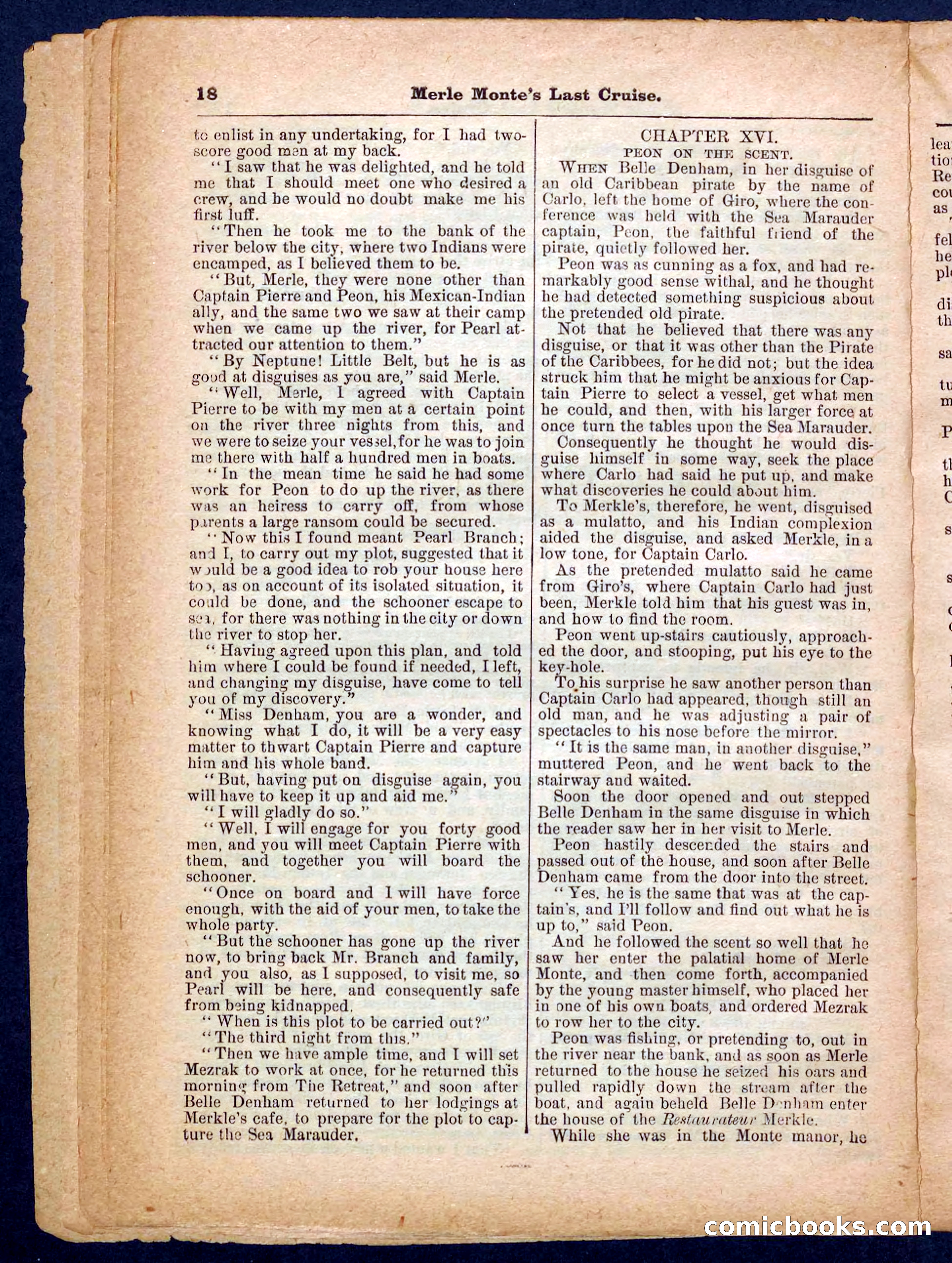 Beadle's Pocket Library No. 256 — page 18 of 32