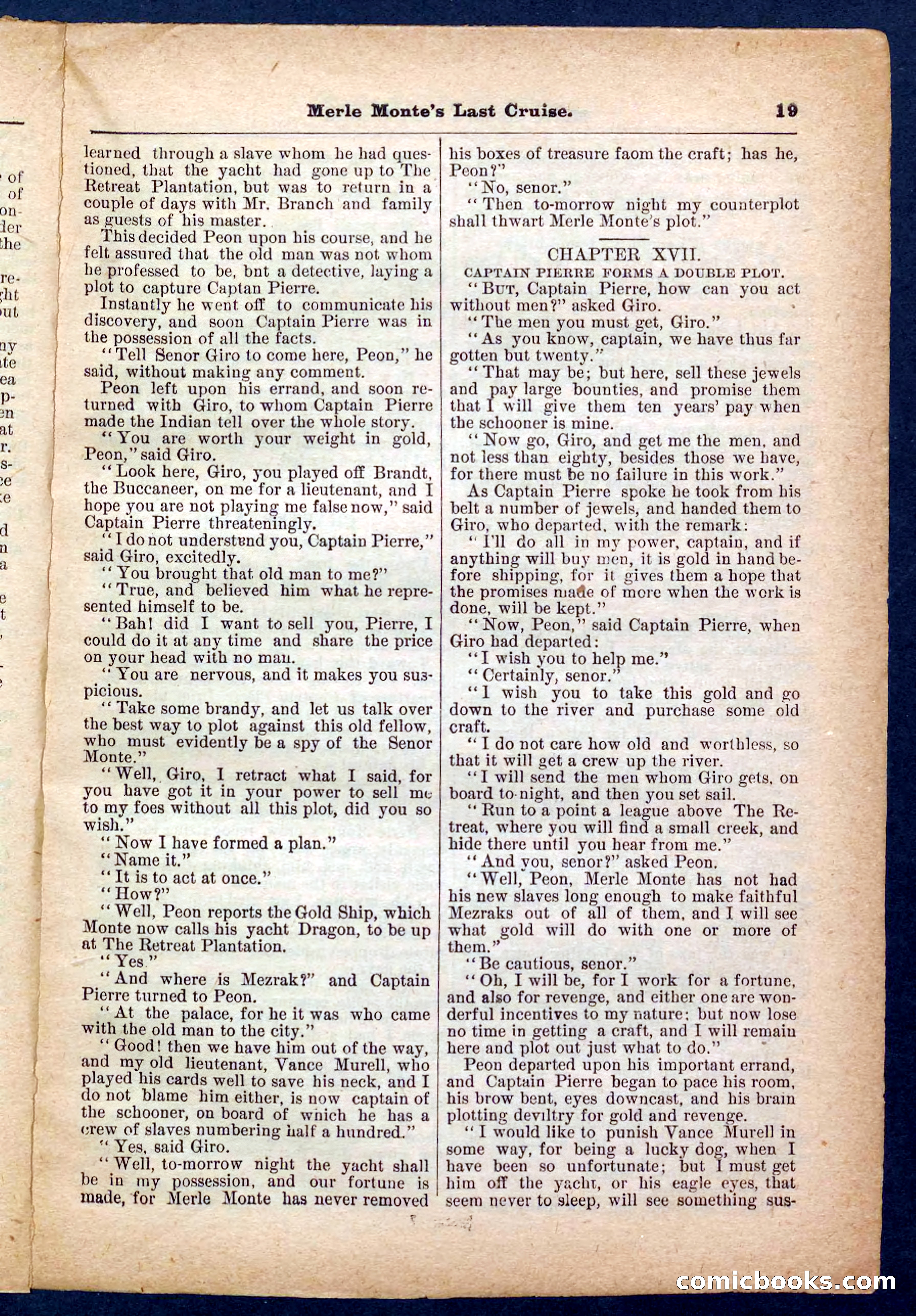 Beadle's Pocket Library No. 256 — page 19 of 32