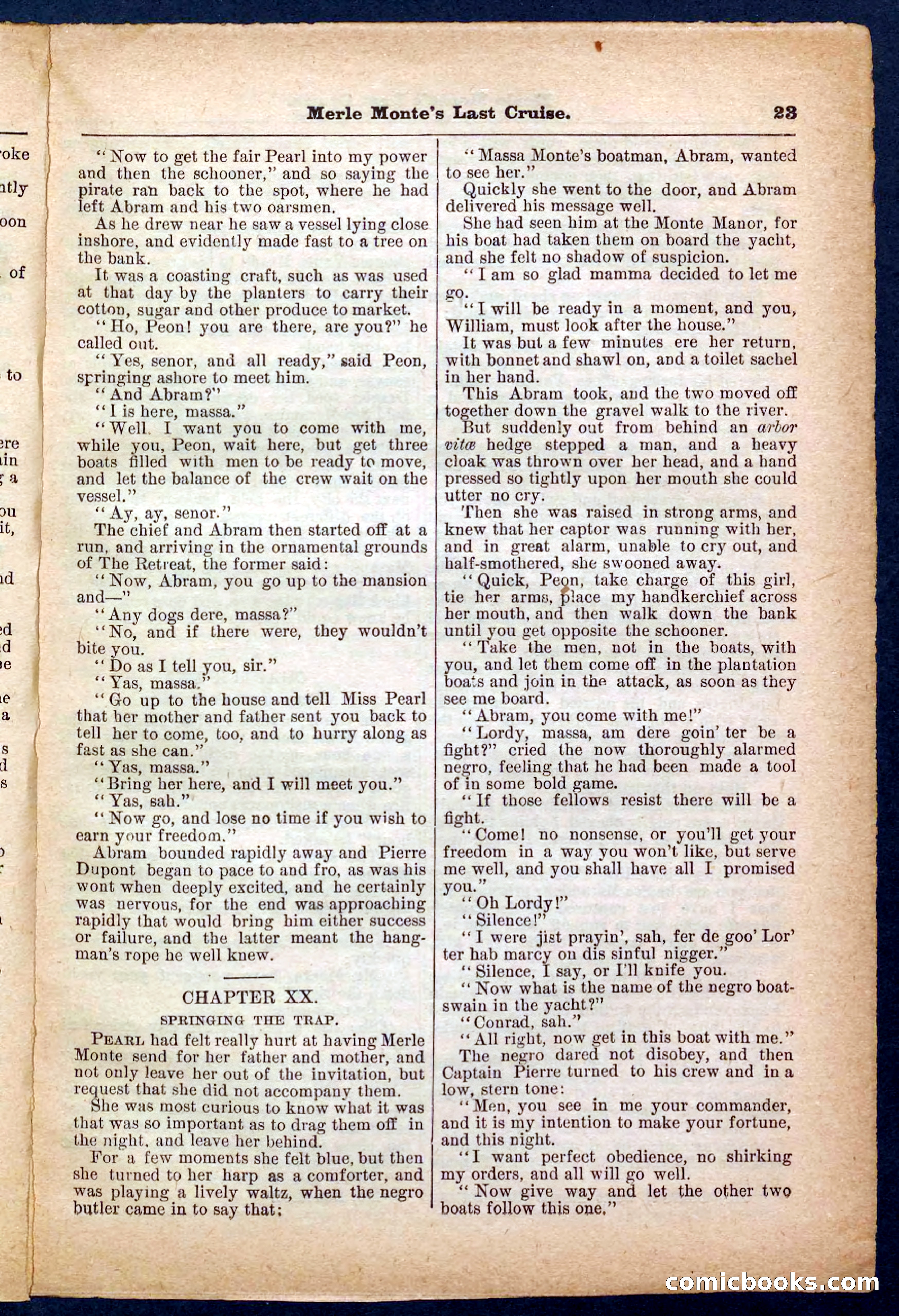 Beadle's Pocket Library No. 256 — page 23 of 32