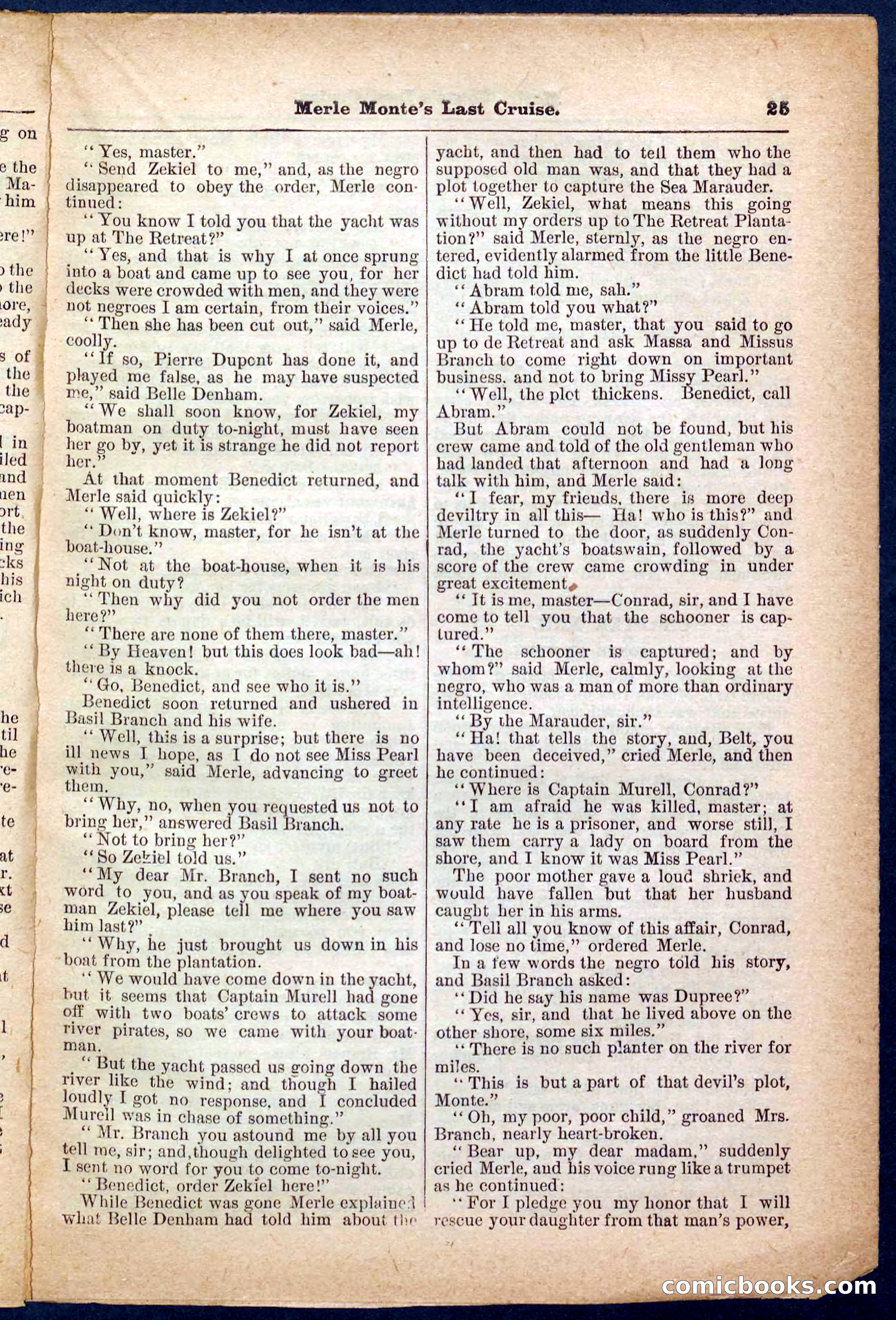Beadle's Pocket Library No. 256 — page 25 of 32