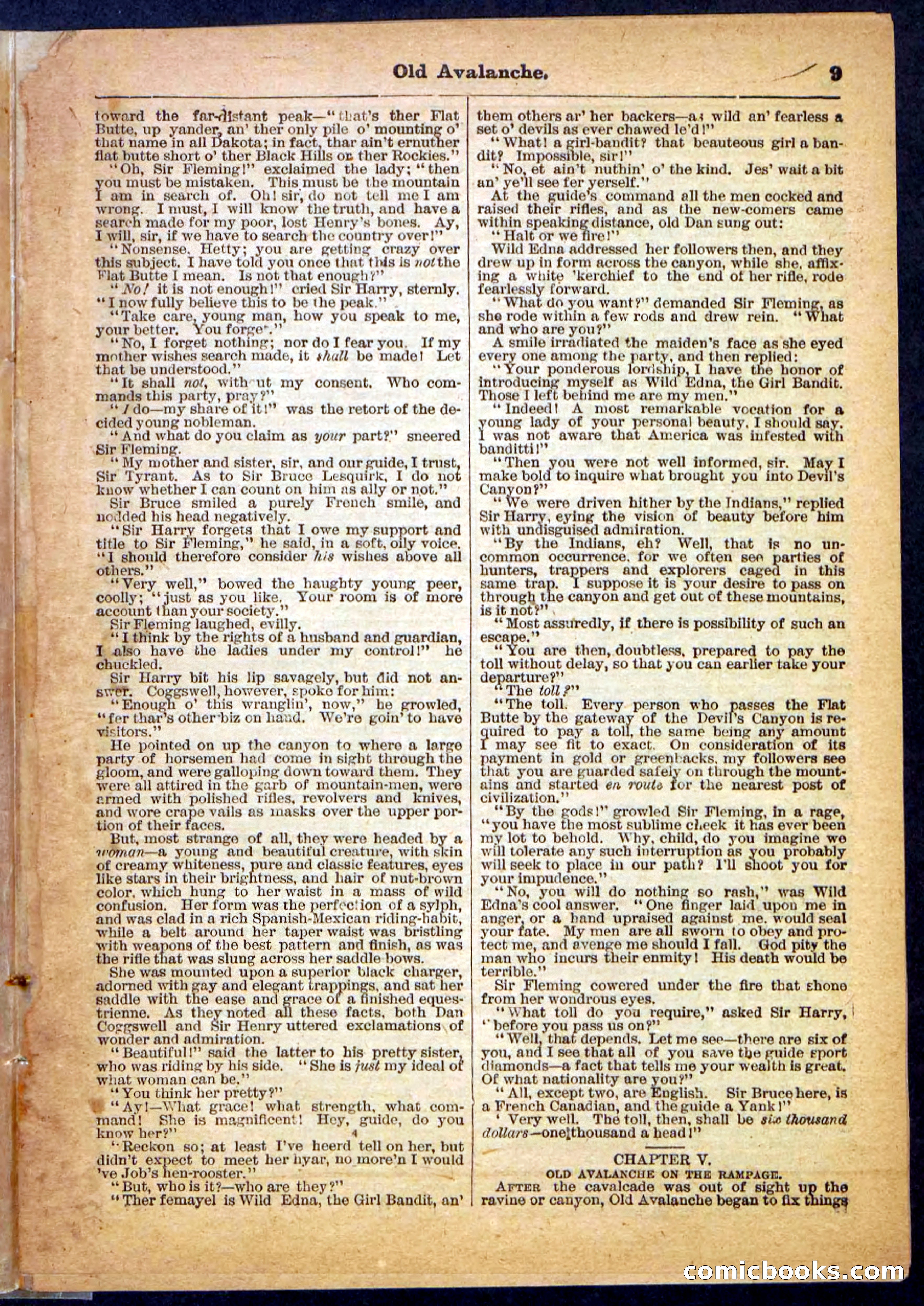 Beadle's Pocket Library, No. 26 — page 9 of 32