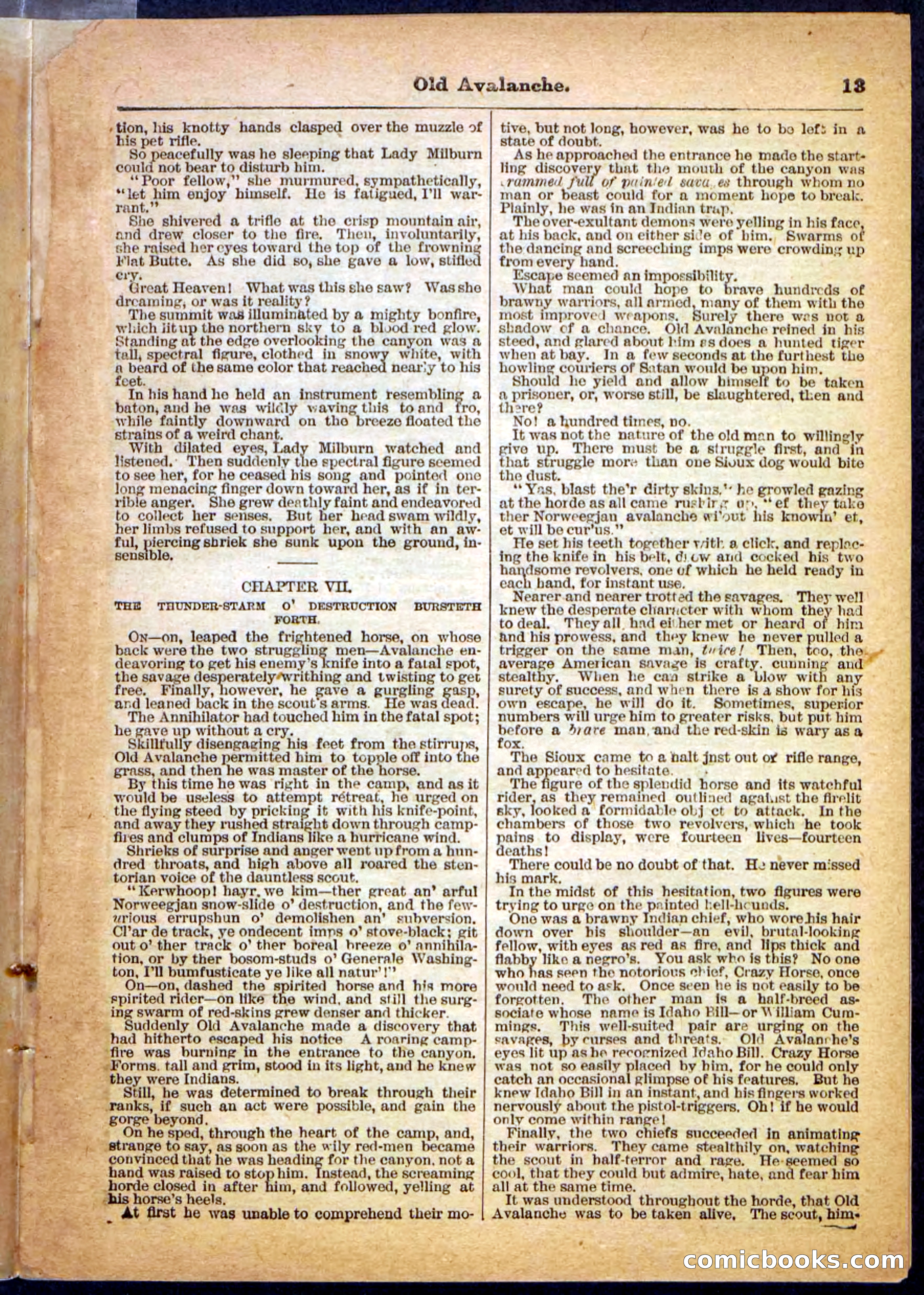 Beadle's Pocket Library, No. 26 — page 13 of 32